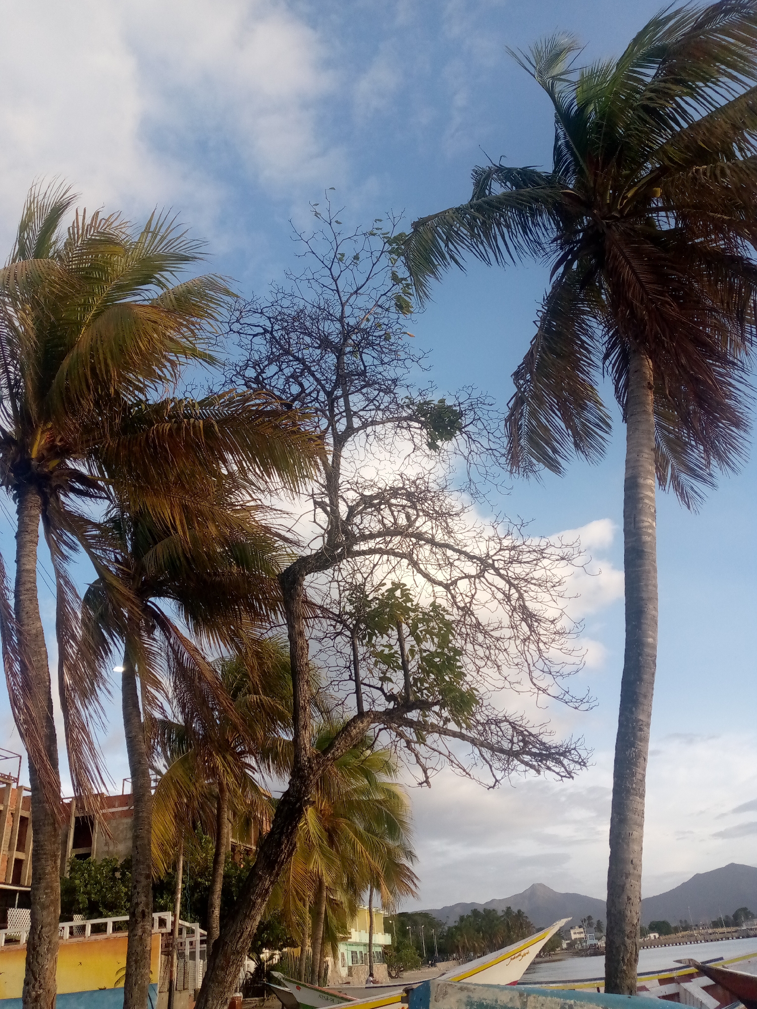 Coastal scenes and portraits documented during evening hours
