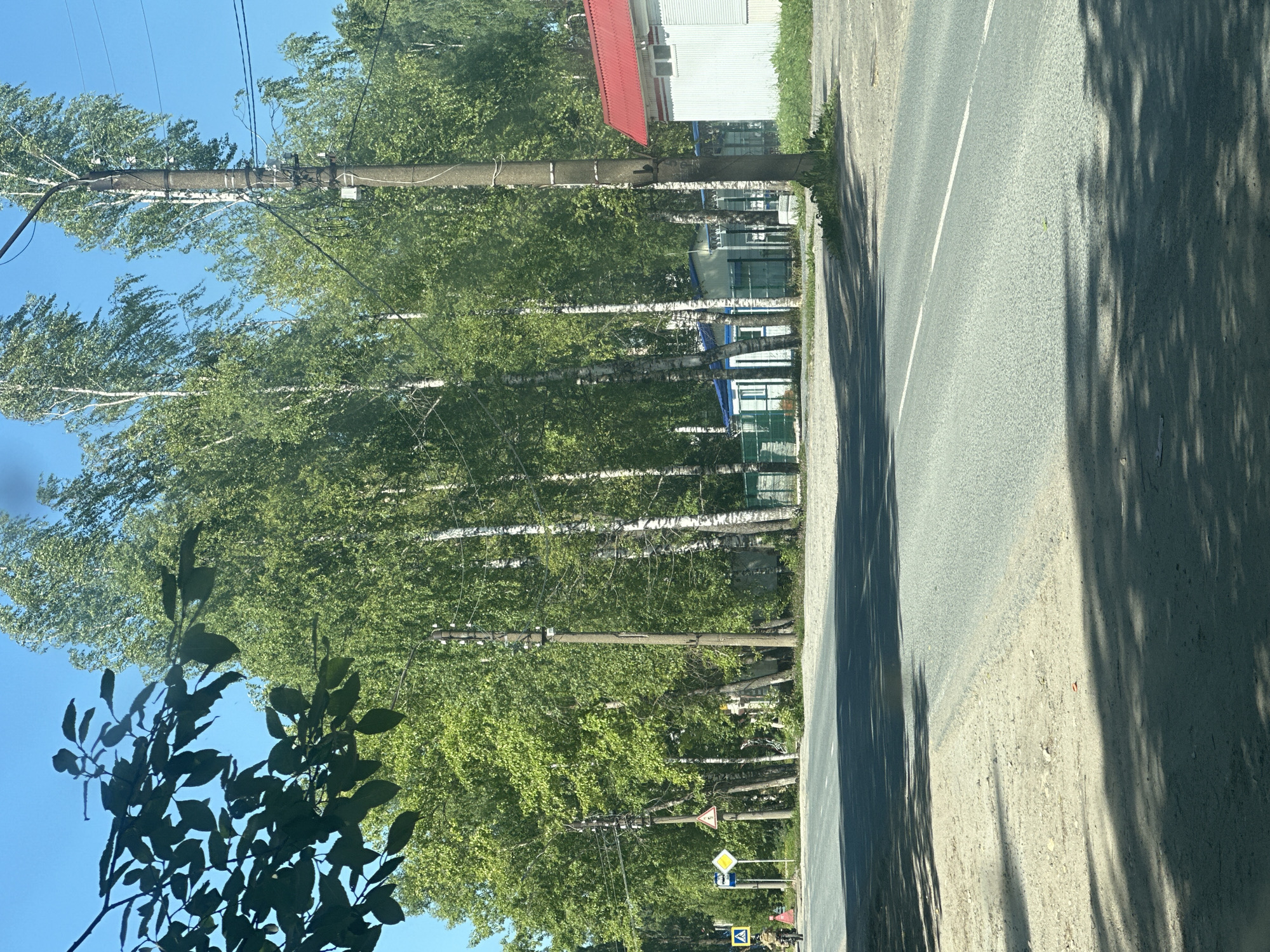 Summer morning in Plesetsk — streets, birch trees, blue sky