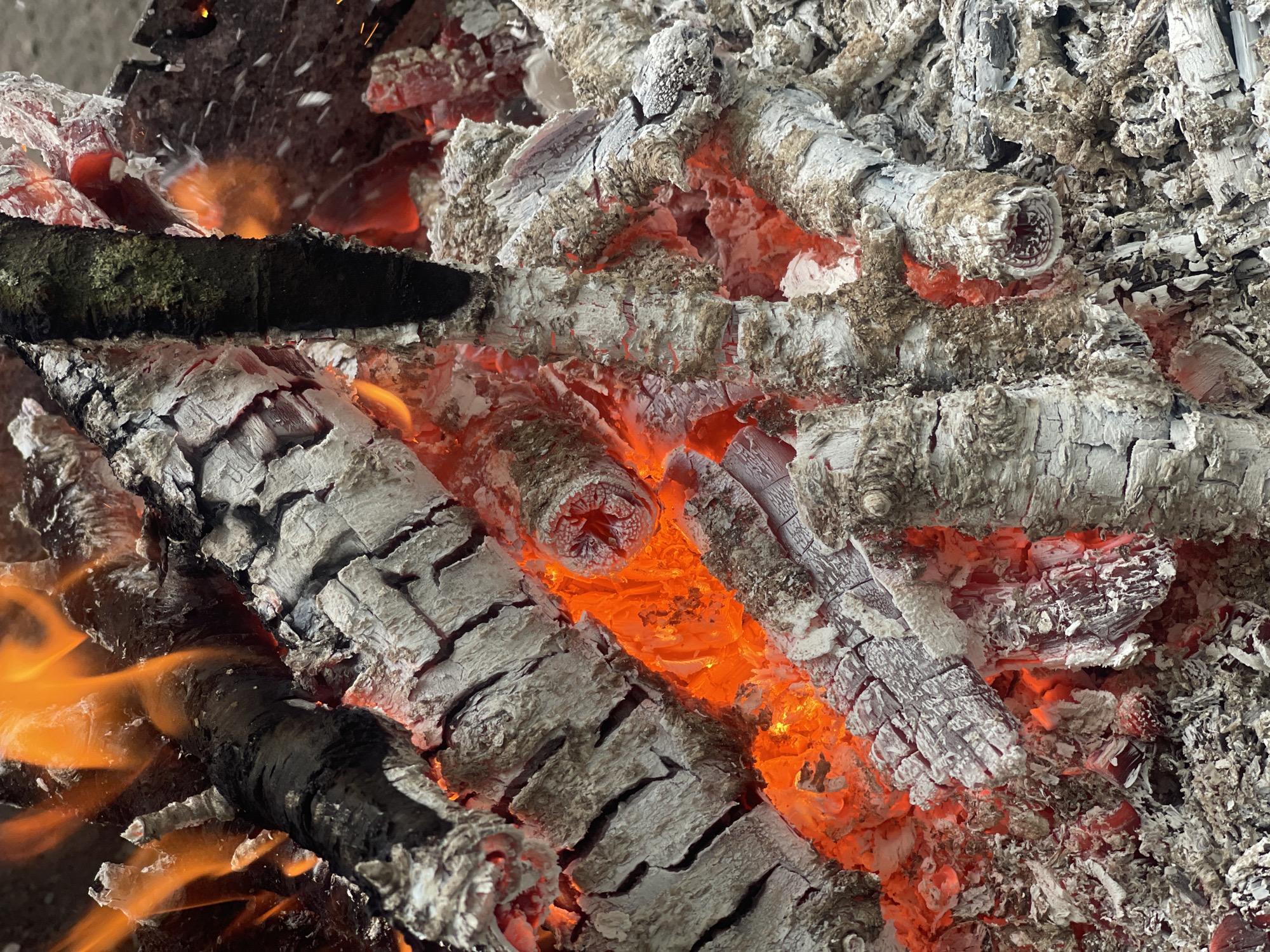 Outdoor barbecue and cherry picking documented in Novyi Tahamlyk