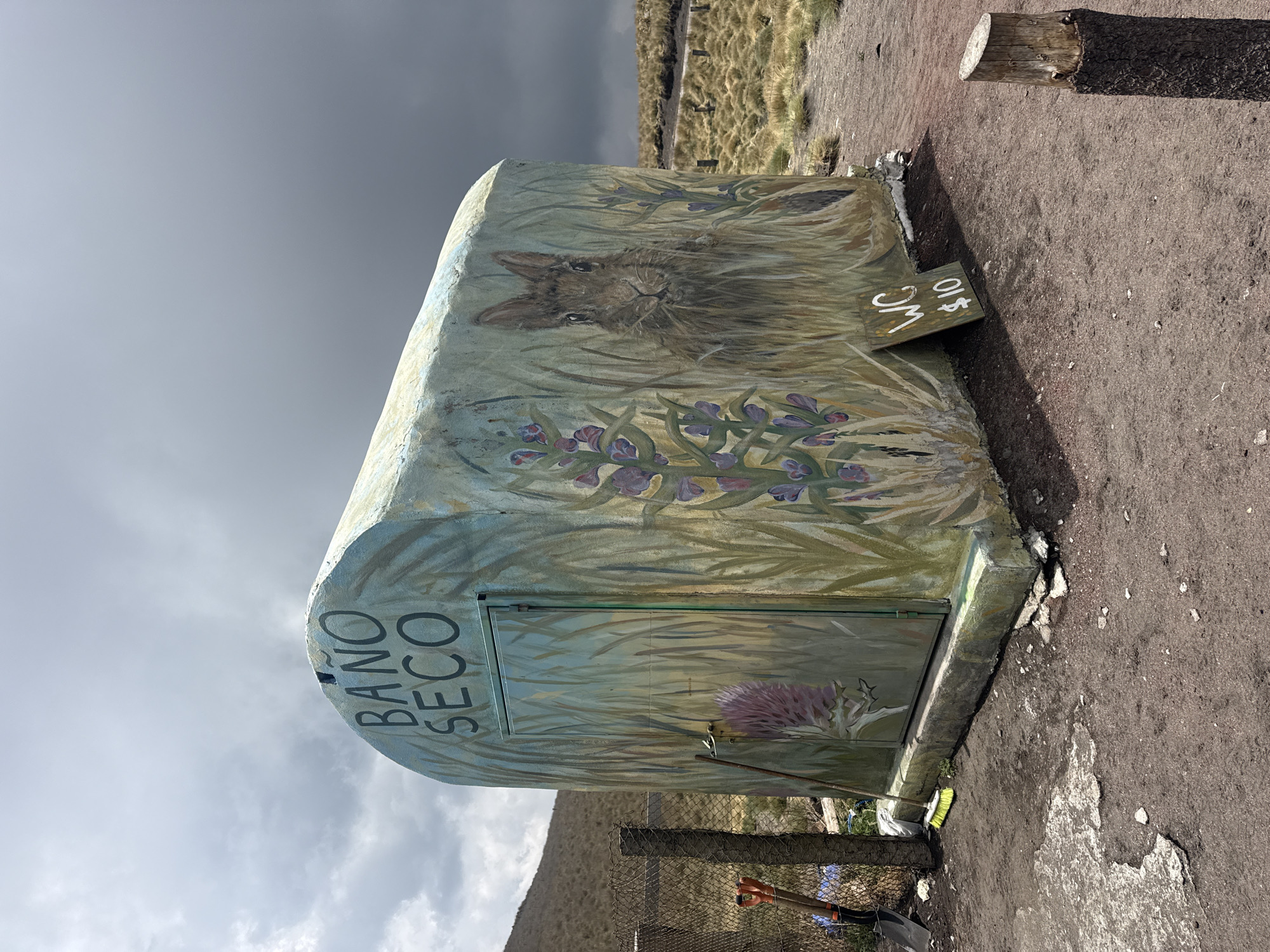Hiker spotted on decorated mountain trail in central Mexico