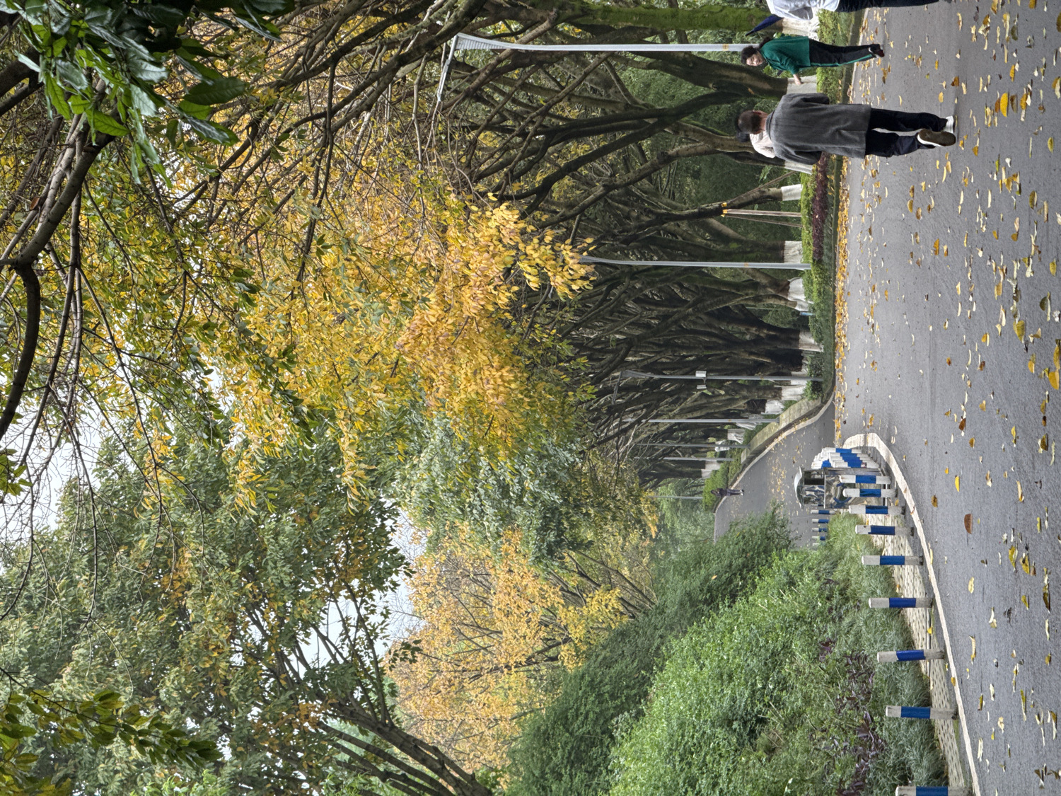 Rain-soaked autumn scenes documented across Liangjiang, China