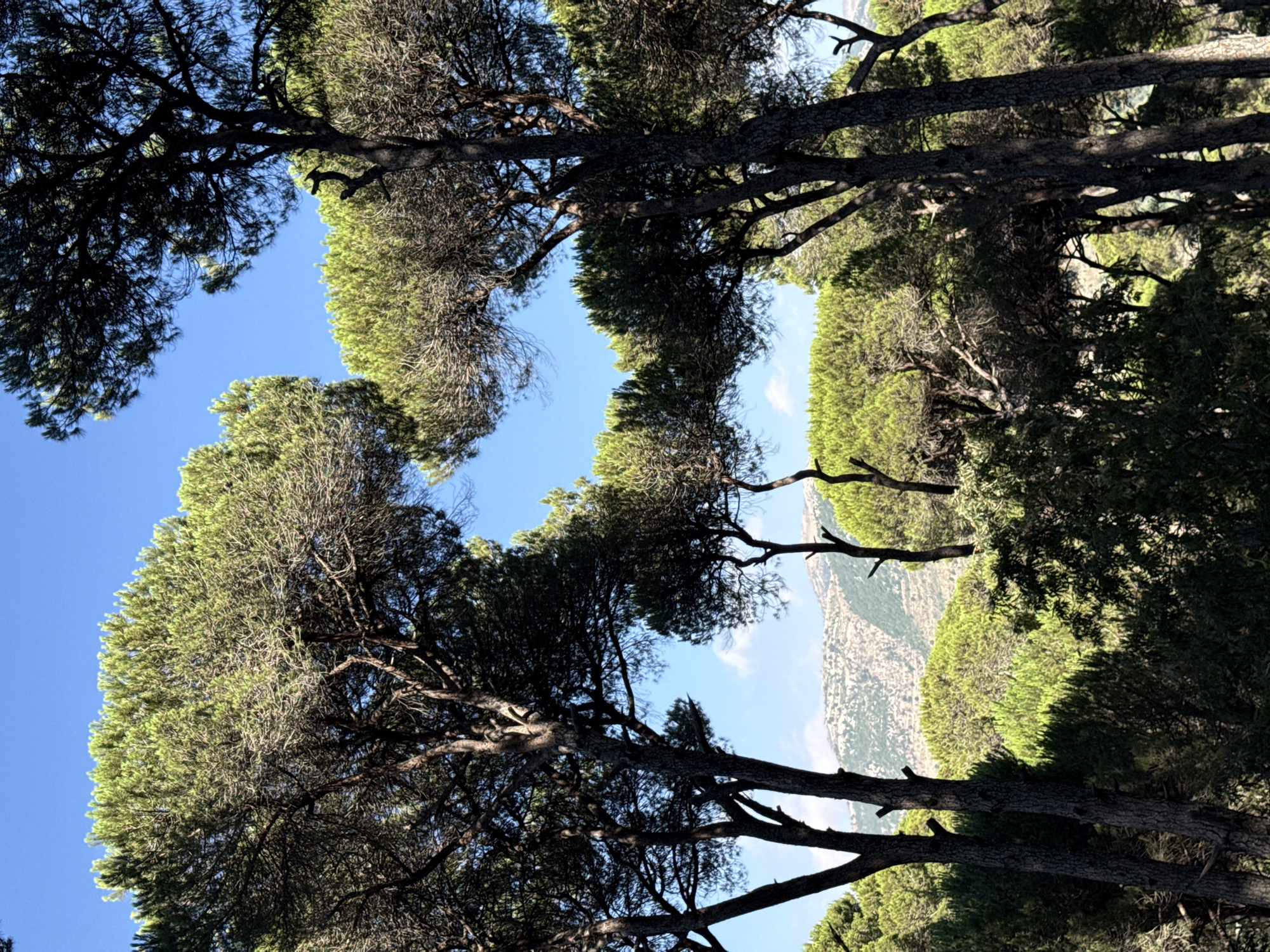 Bkassine, Lebanon