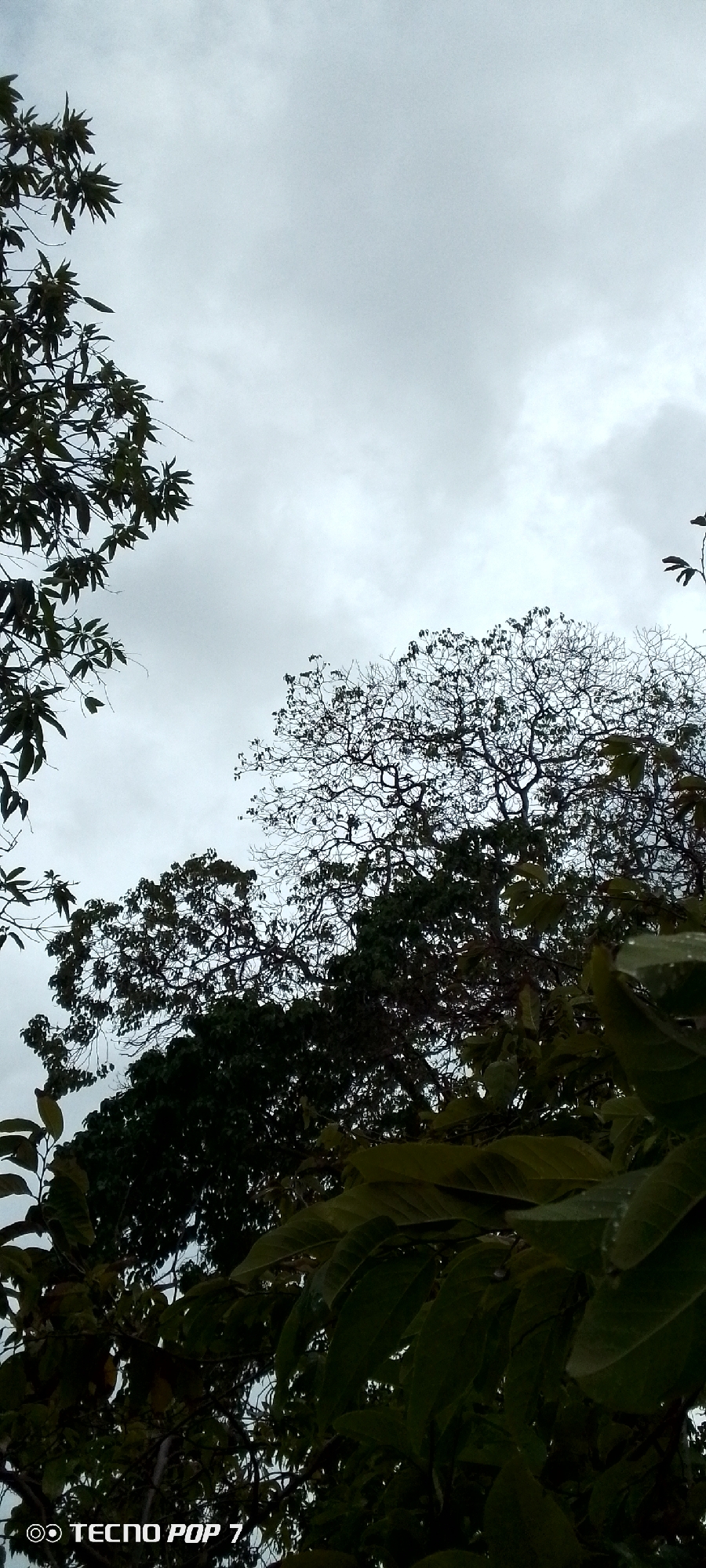 Overcast evening skies documented in Altagracia, Venezuela