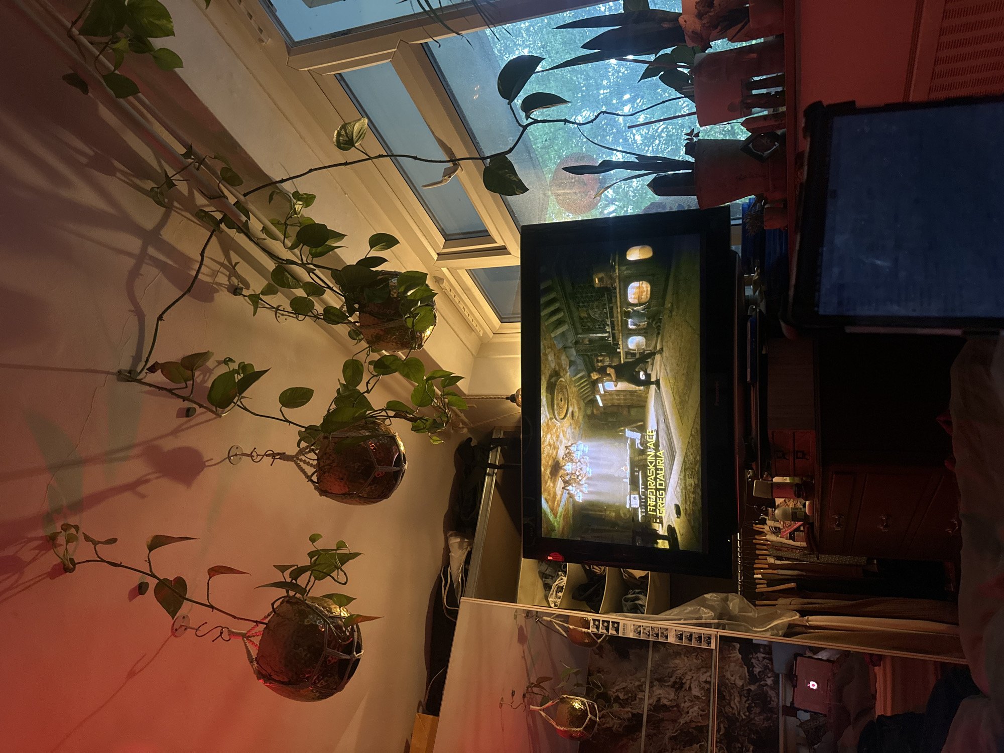 London resident enjoys sushi lunch amid plants at home