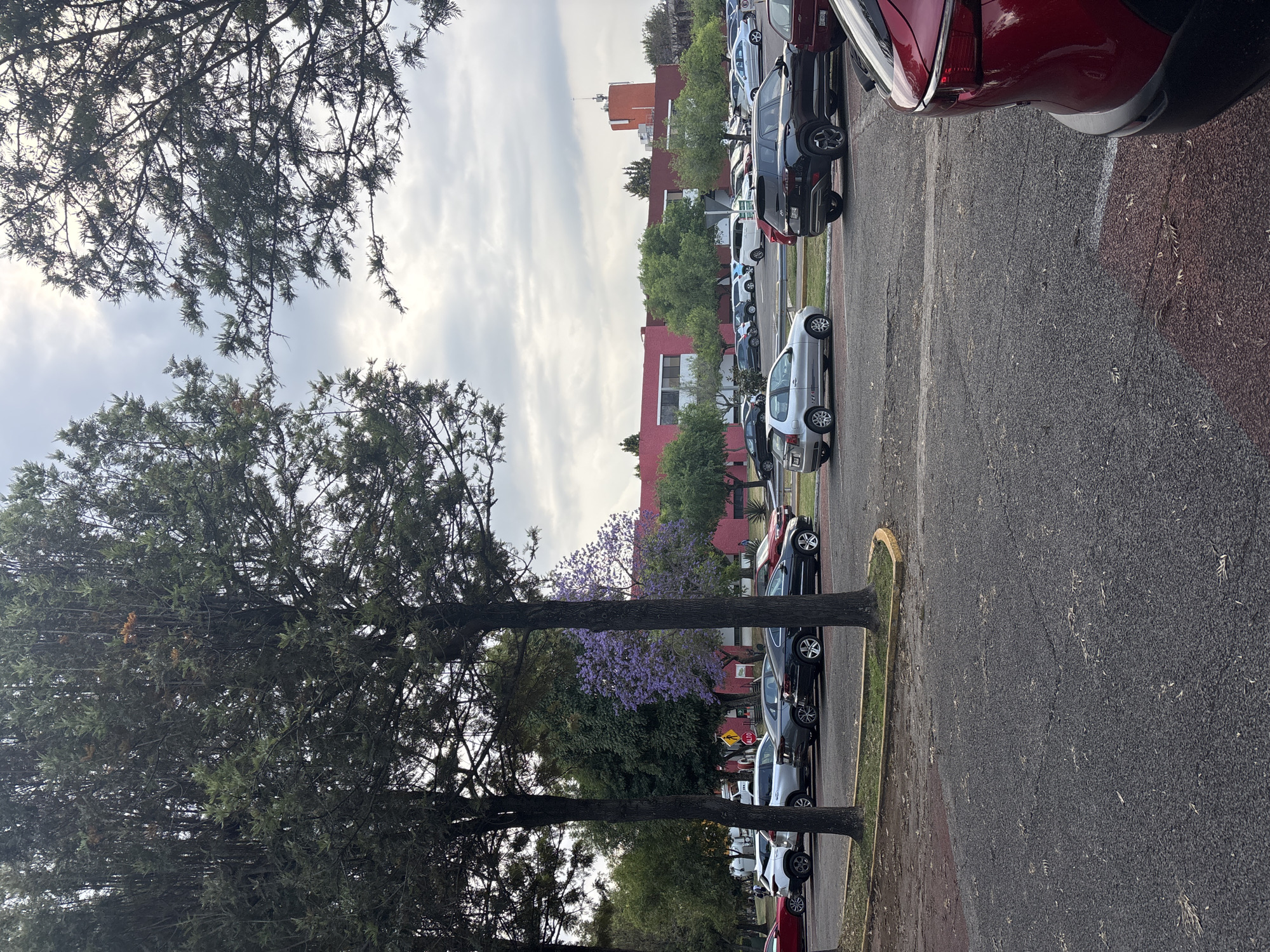 Public art and blooming jacarandas captured in San Andrés Cholula