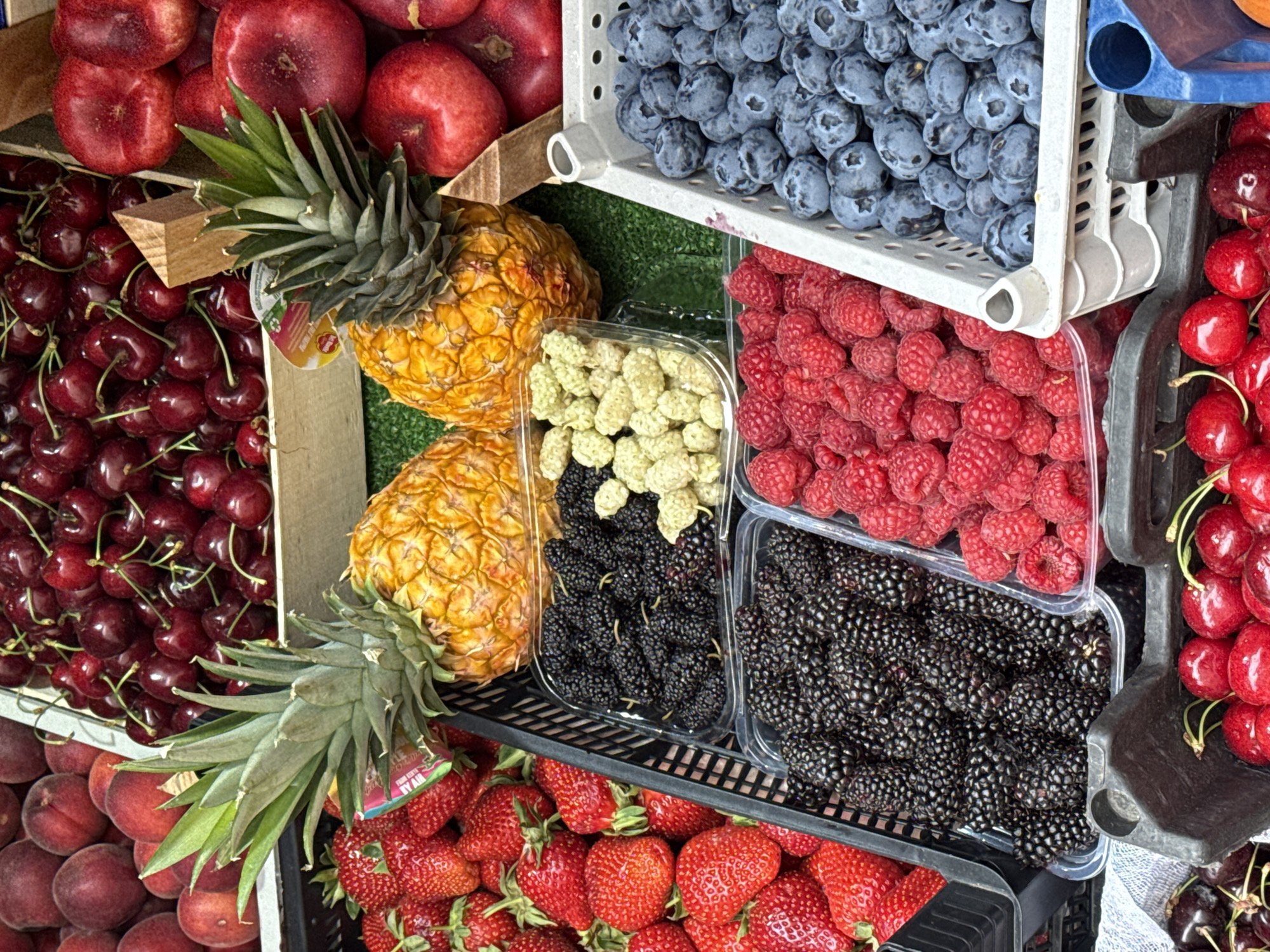 Fresh fruit market exploration in Saint Petersburg