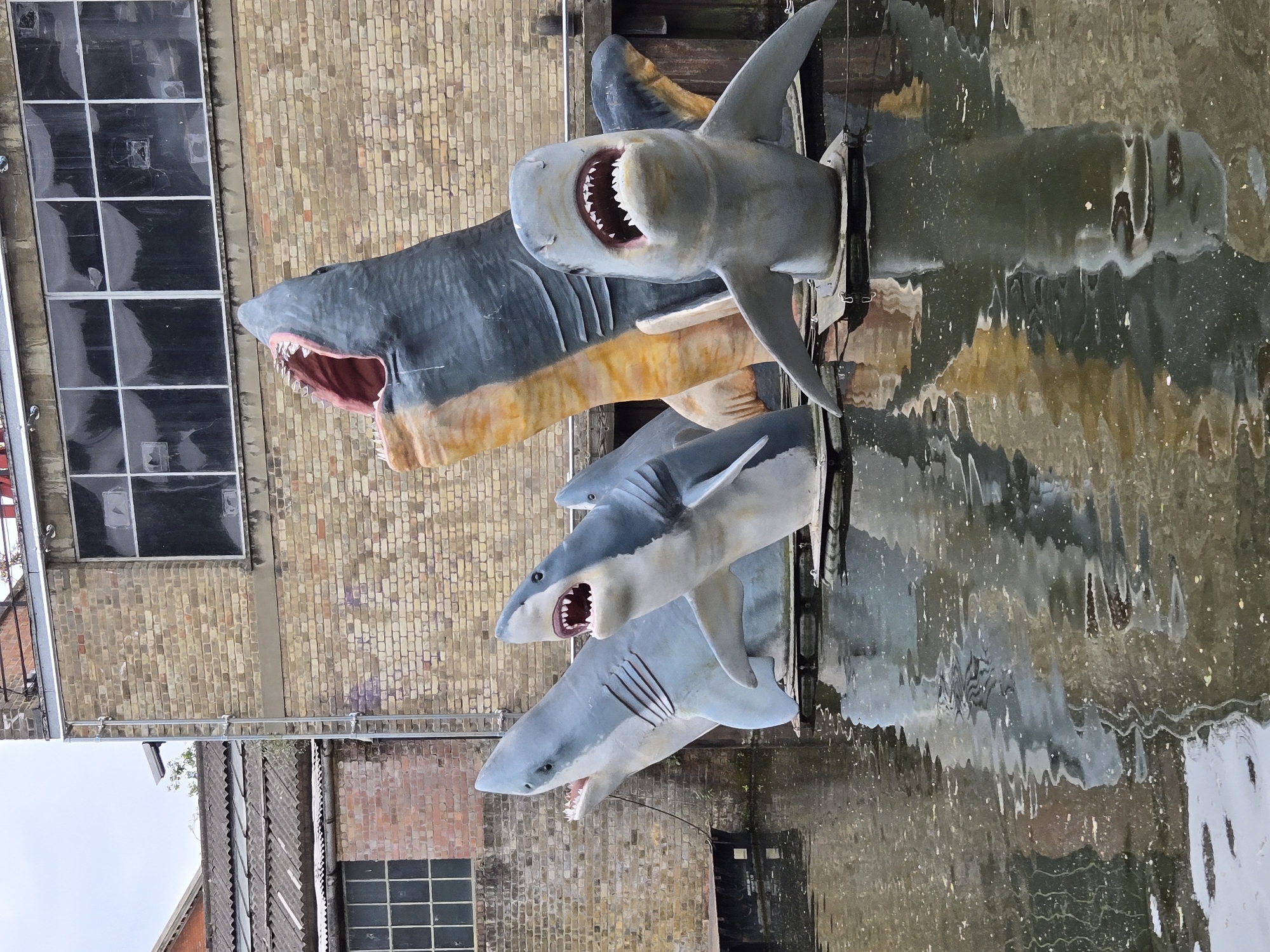 London shark sculpture installation documented by witness