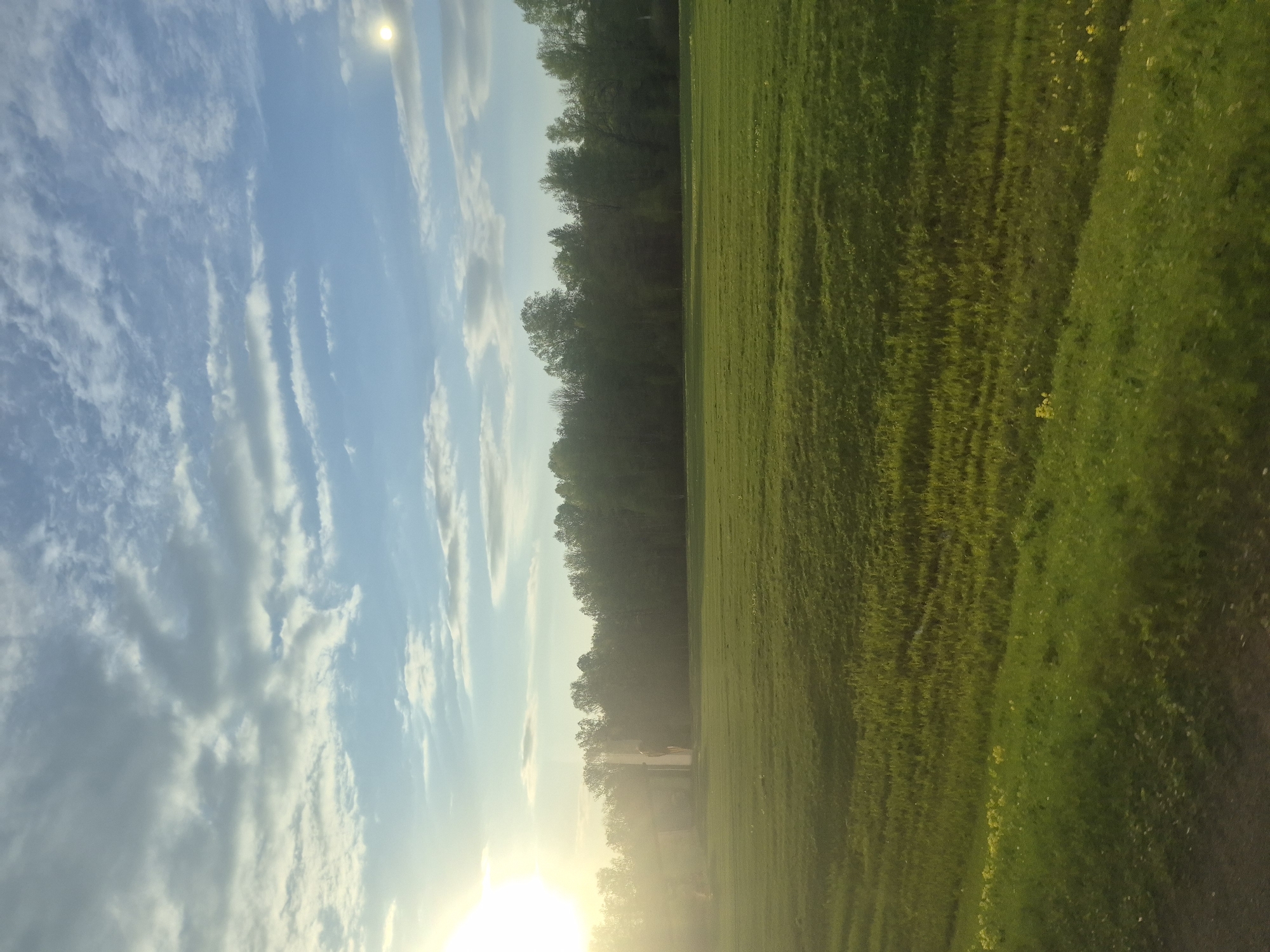 Vehicle journey documented through Russian countryside near Arkhangel'skoe