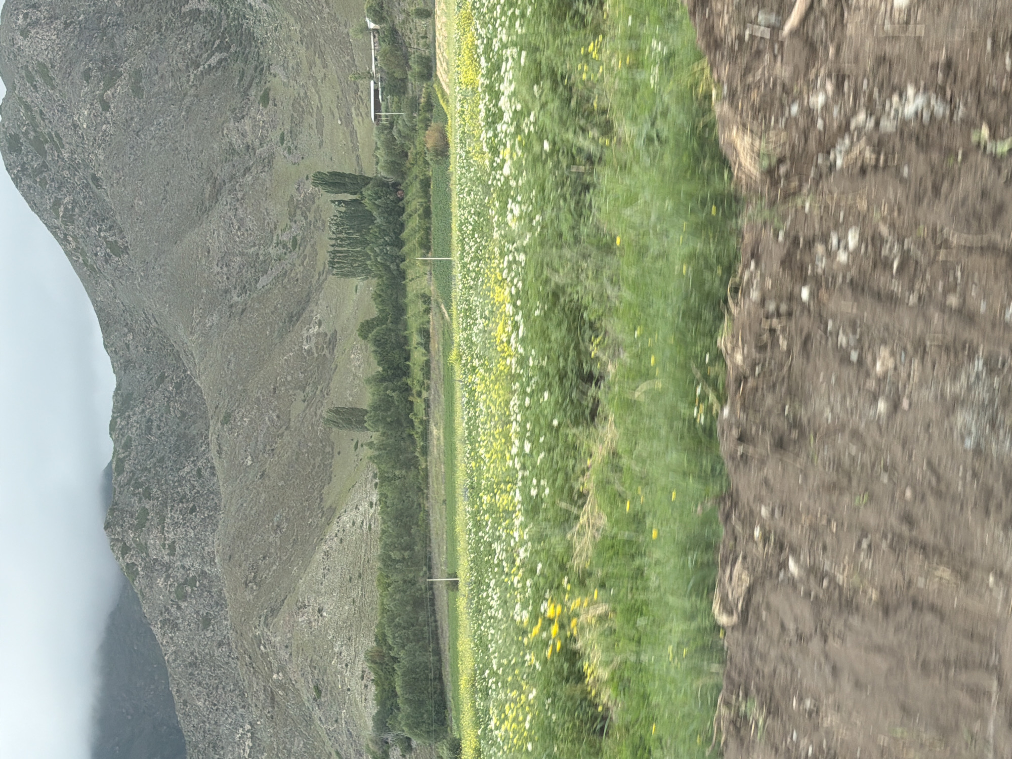 Overcast road trip through mountain farmland and wildflower countryside