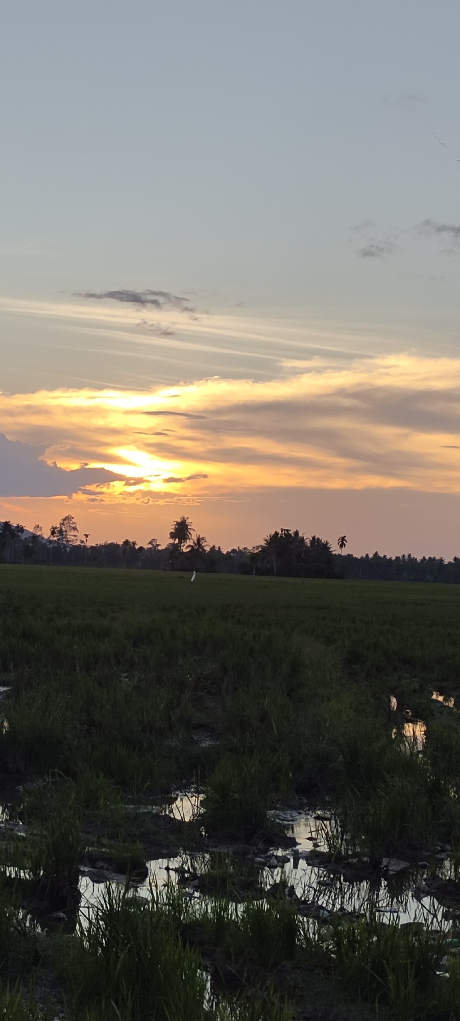 Rural Indonesian village life documented through family gatherings, rice fields
