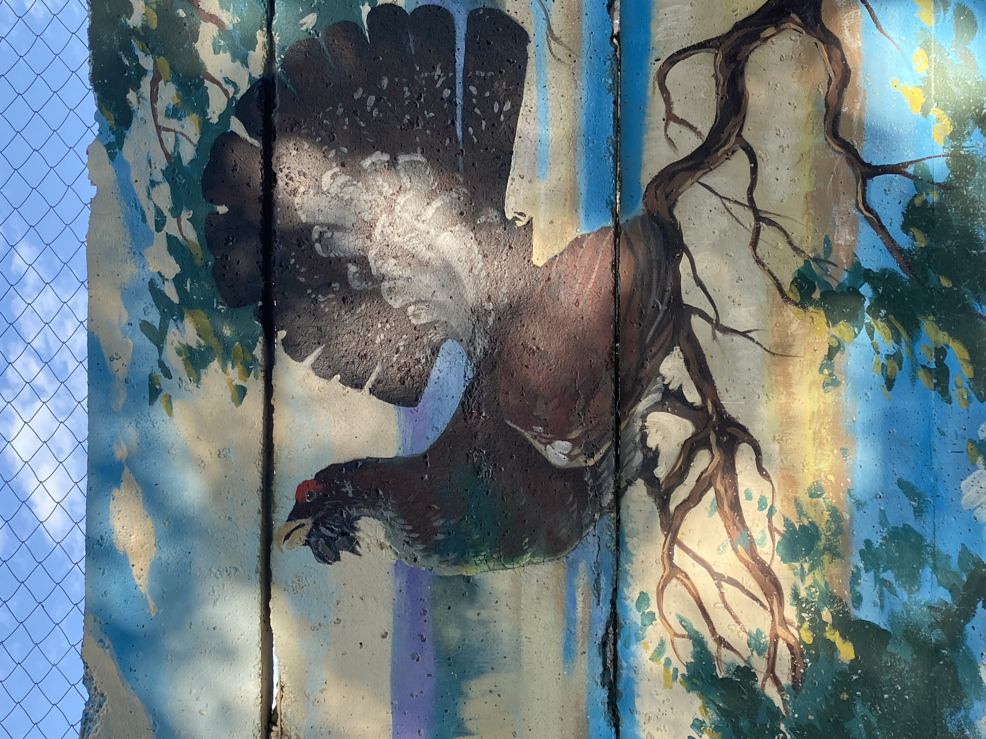 Public art installations featuring wildlife murals and tree carvings documented in Chaikovsky