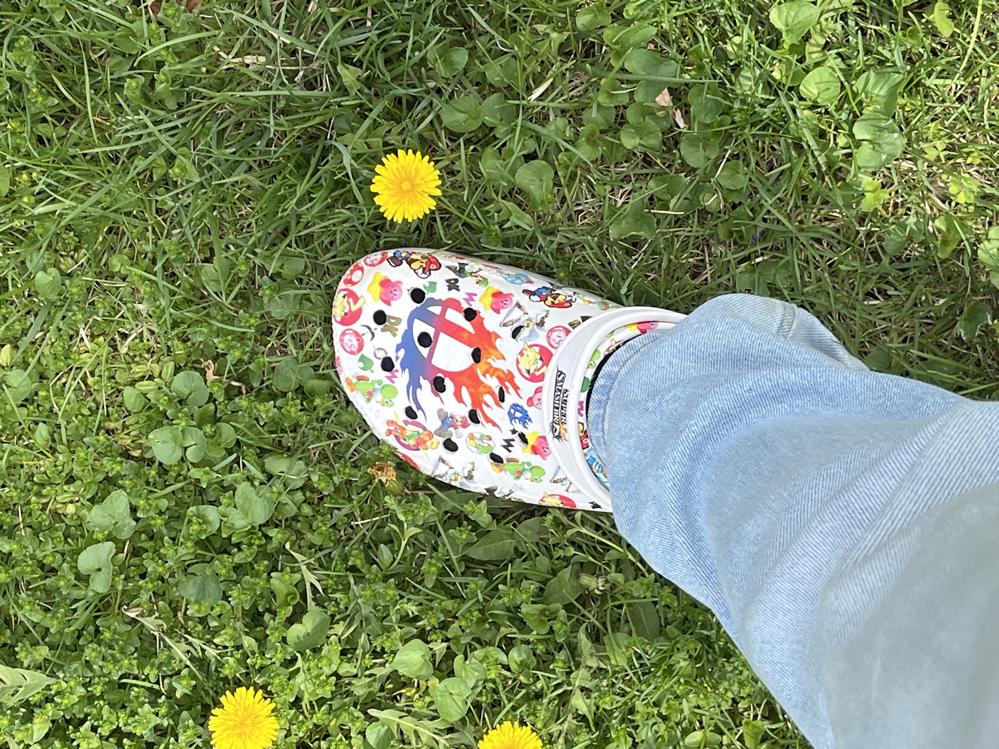 Spring garden stroll in Naperville features gaming-themed footwear, blooming tulips