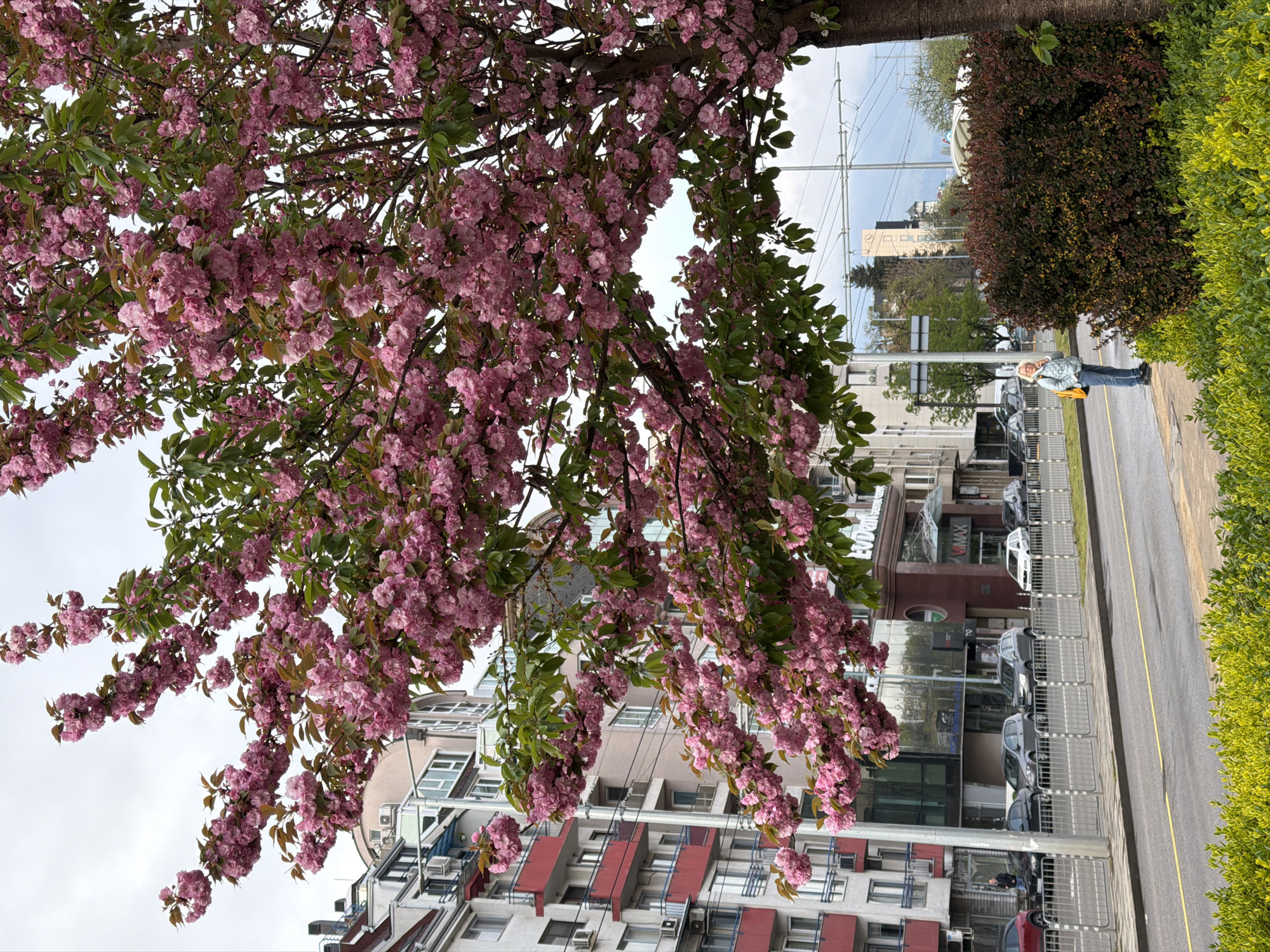 Spring morning scenes captured across Sofia, Bulgaria