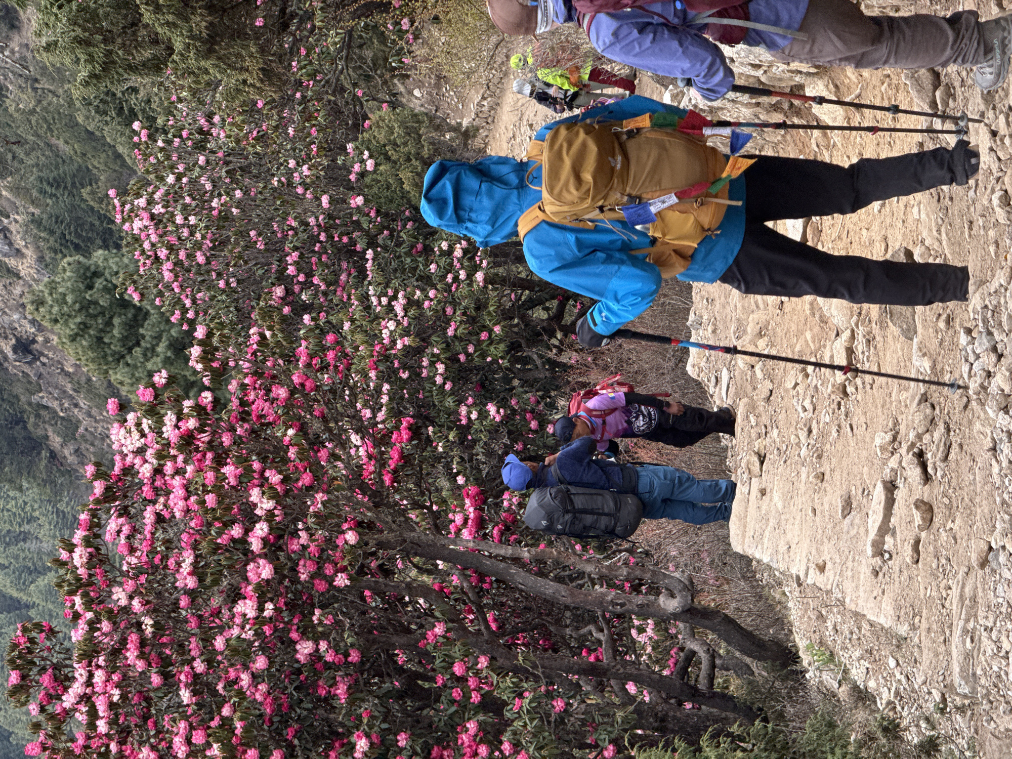 Hiker spotted on Everest region trails in Nepal