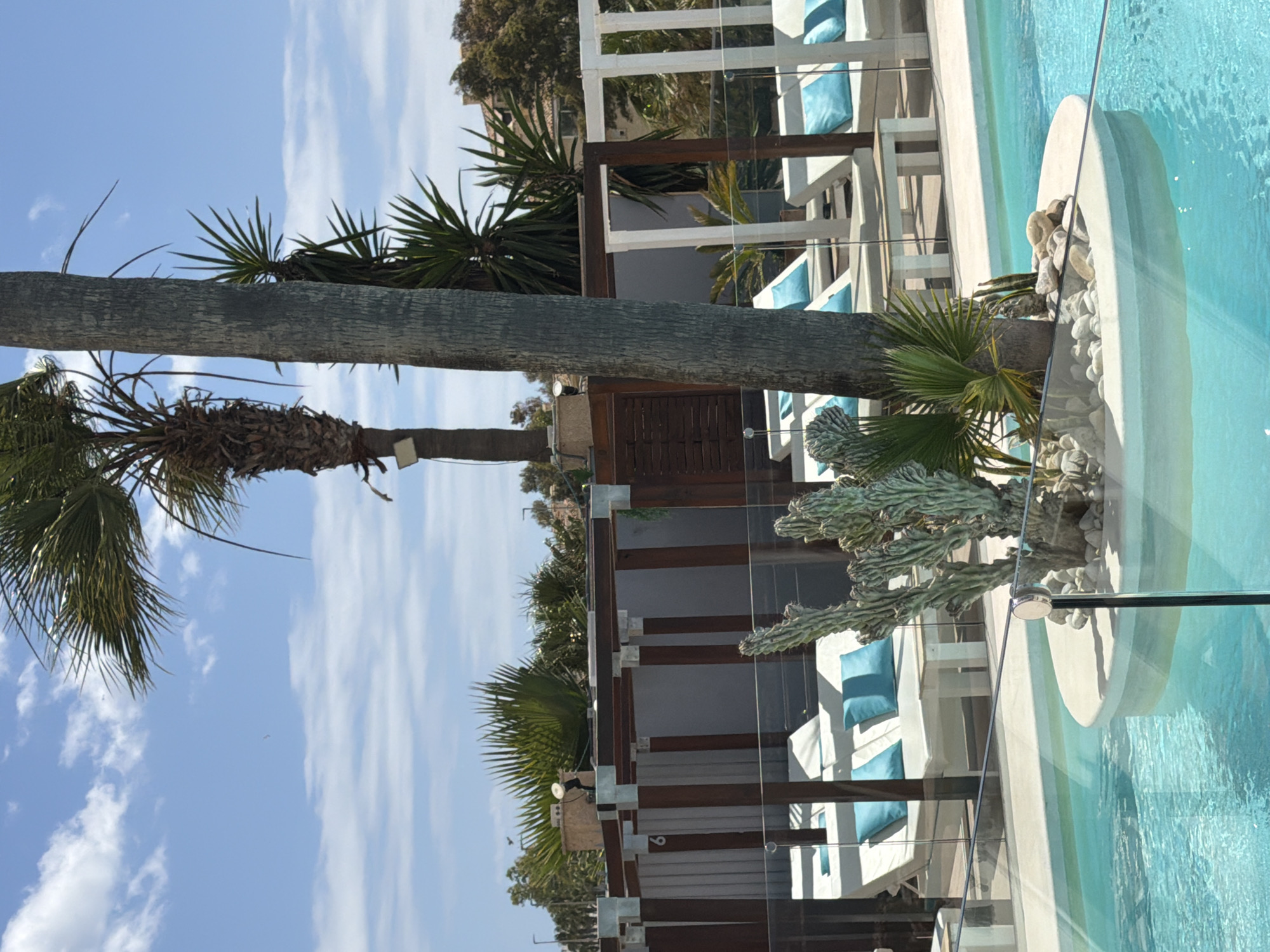 Tourist captures everyday scenes around Benalmádena resort area