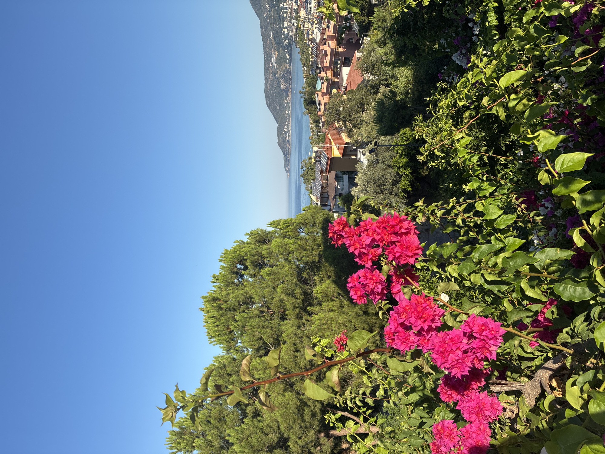 Hillside views over Alanya framed by bougainvillea and green foliage