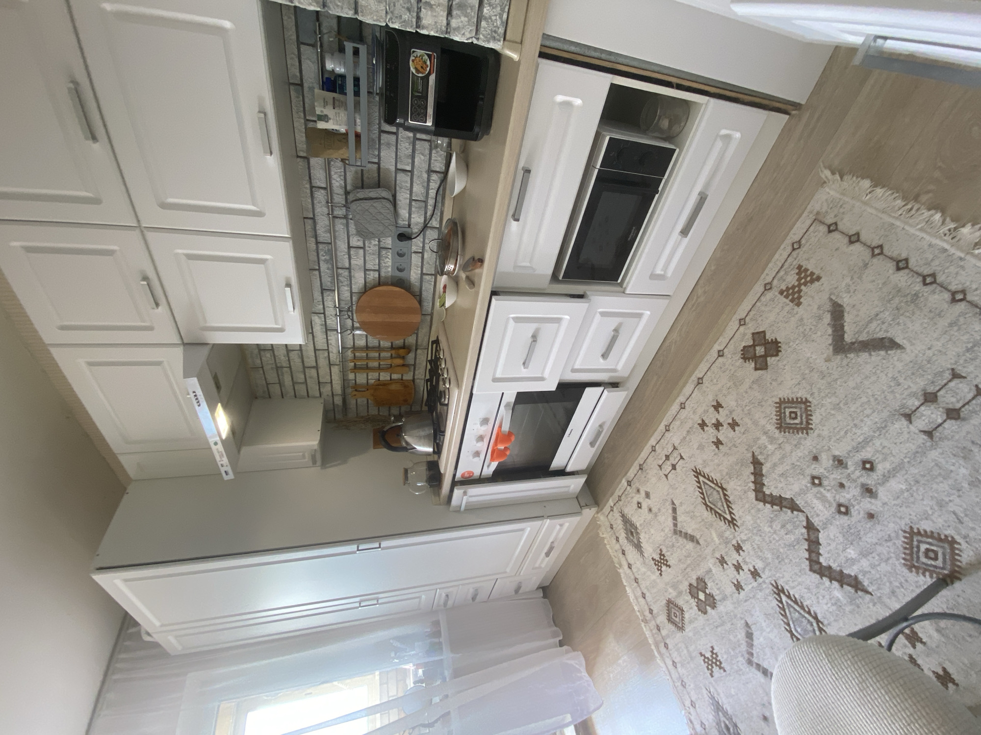 Home interior moments captured with gray cat, modern kitchen