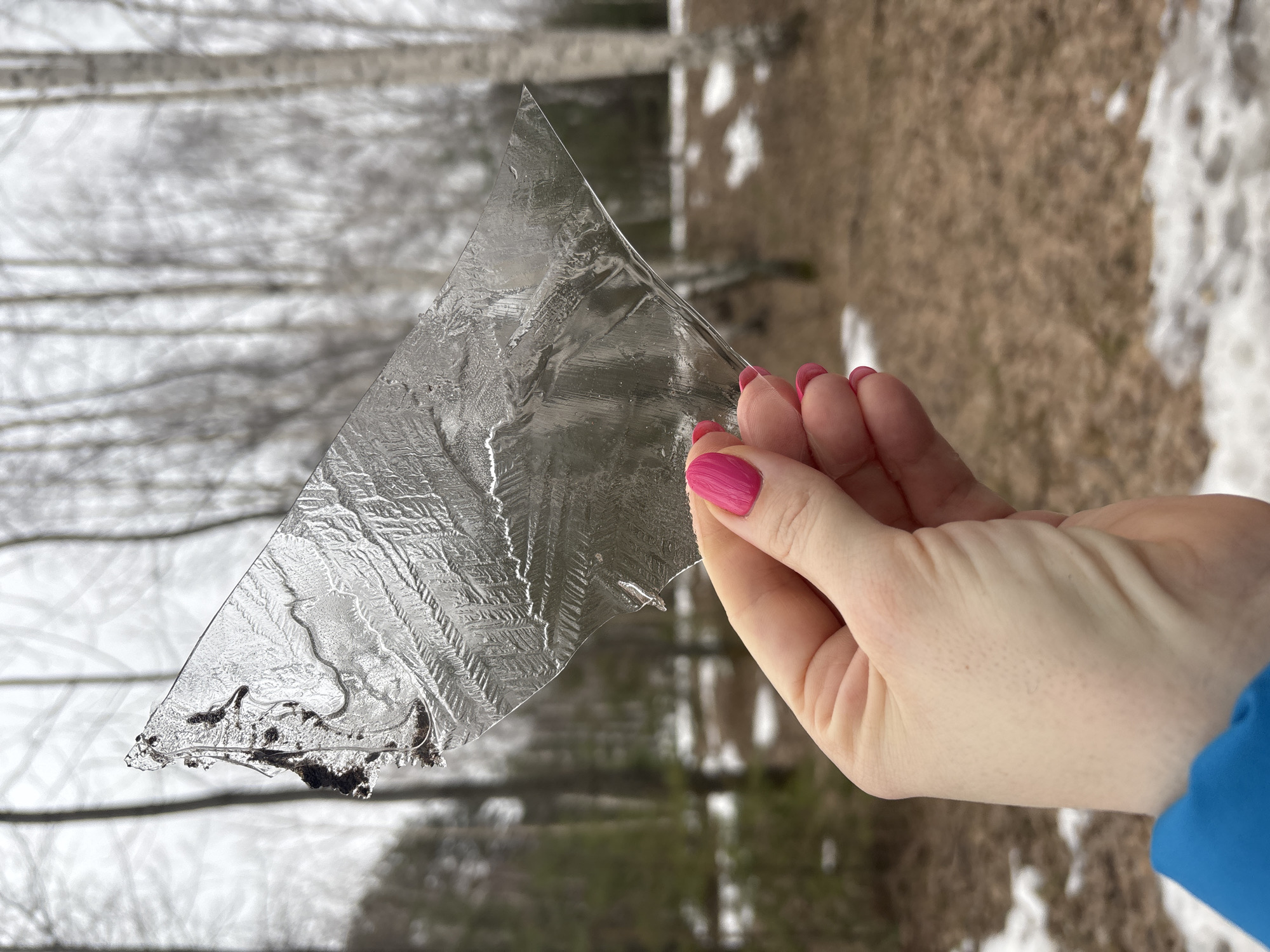 Person documents late winter ice formations in Russian forest