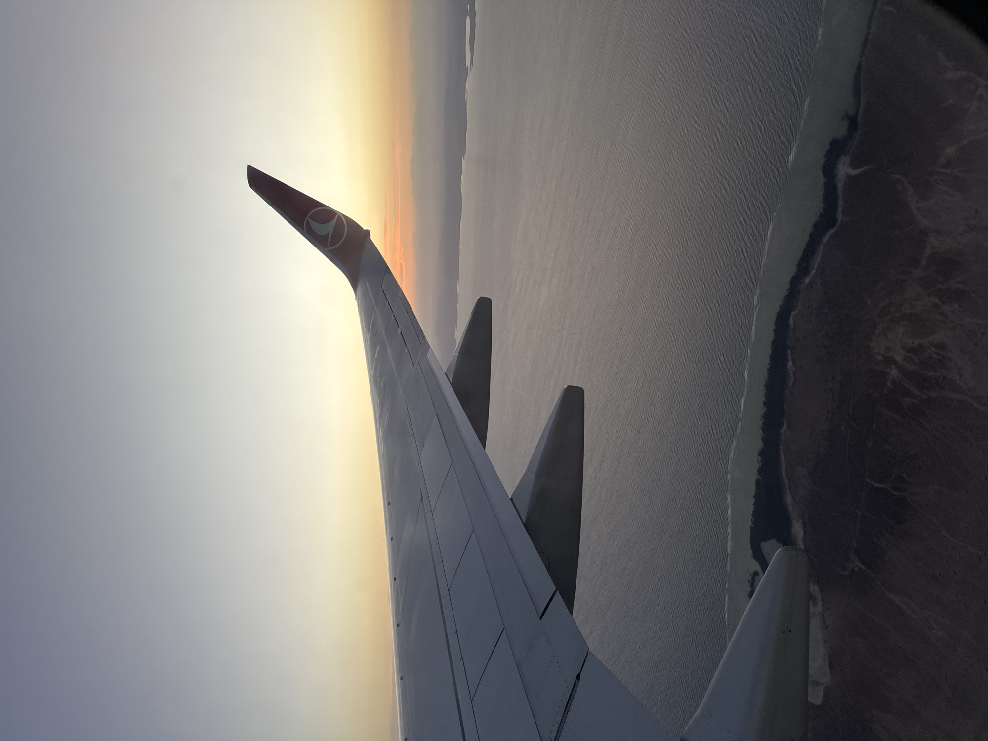 Turkish Airlines flight observed over Egyptian Red Sea coast