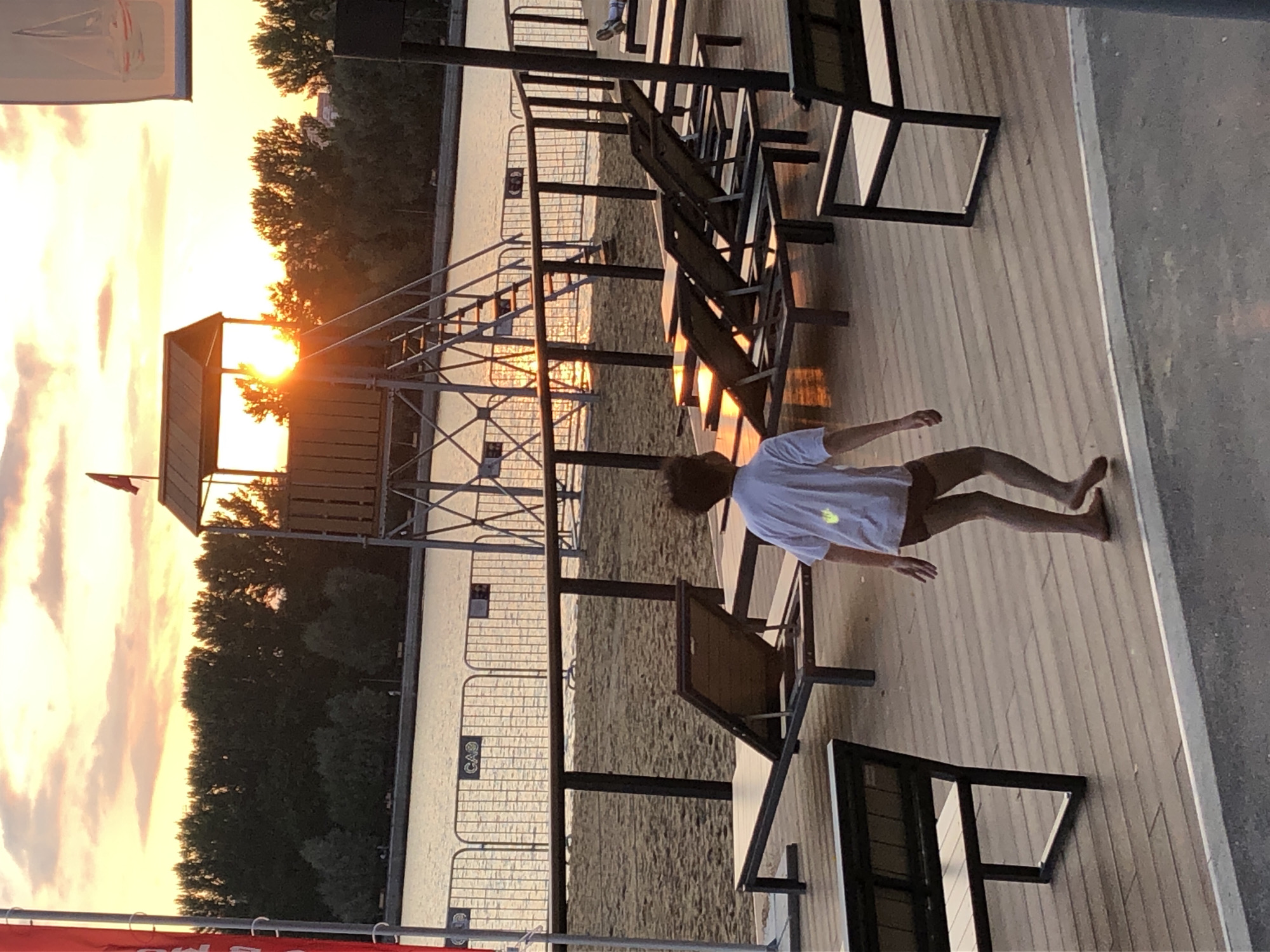 Dogs and dusk at a Khimki waterfront park