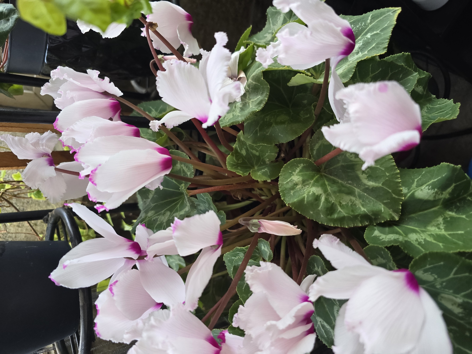 Beauty and nature moments captured in Burgas