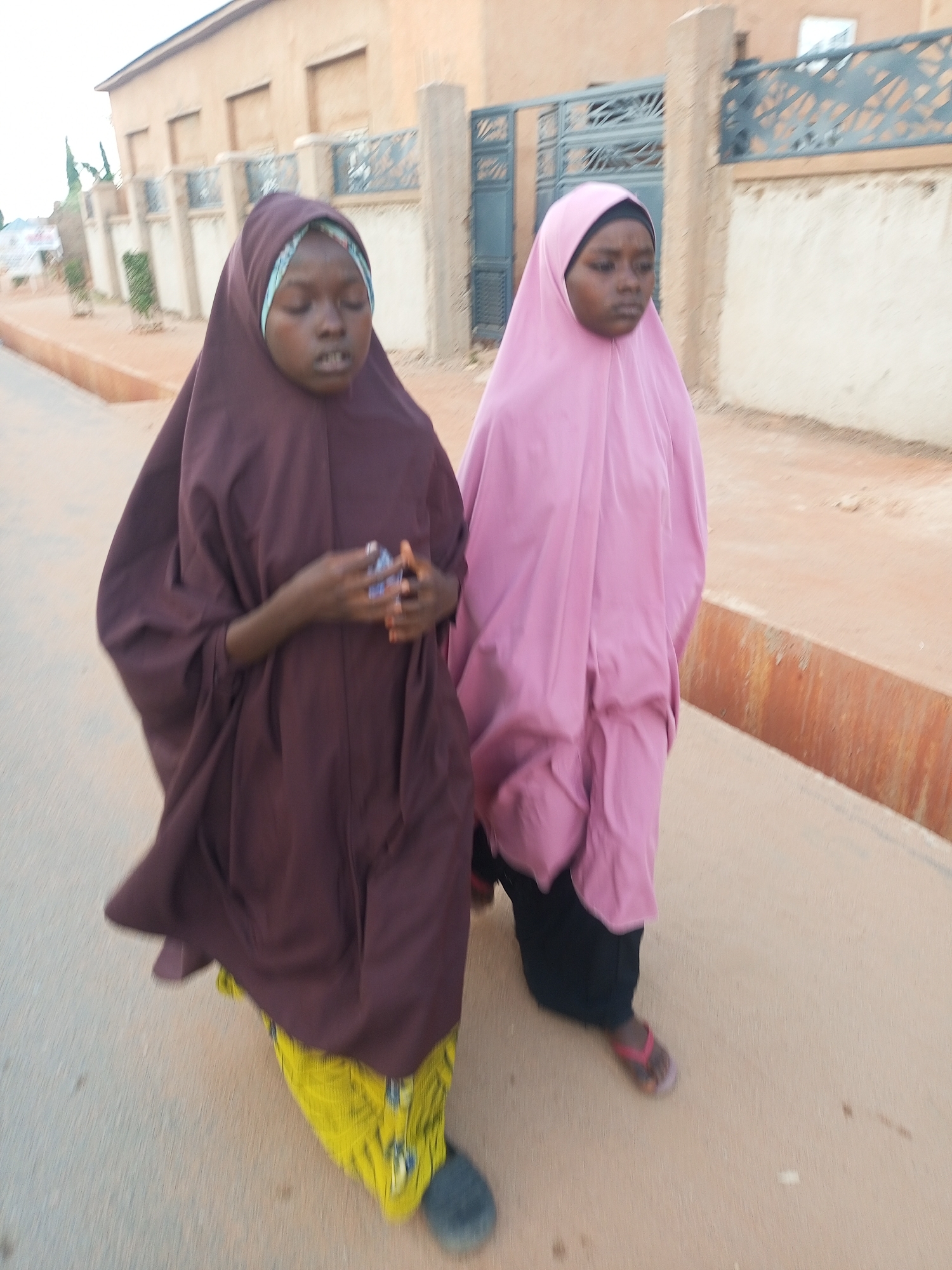 Daily street life documented in Timia, Niger