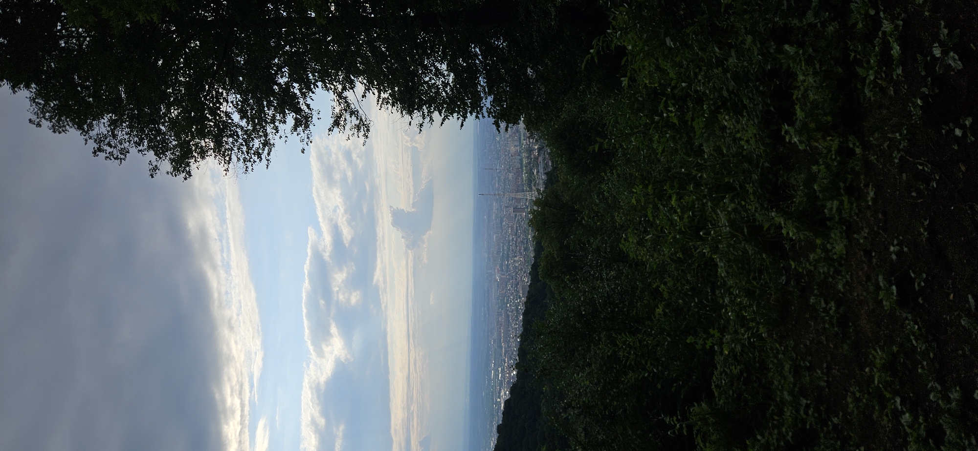 City skyline viewed from above, framed by dense tree cover