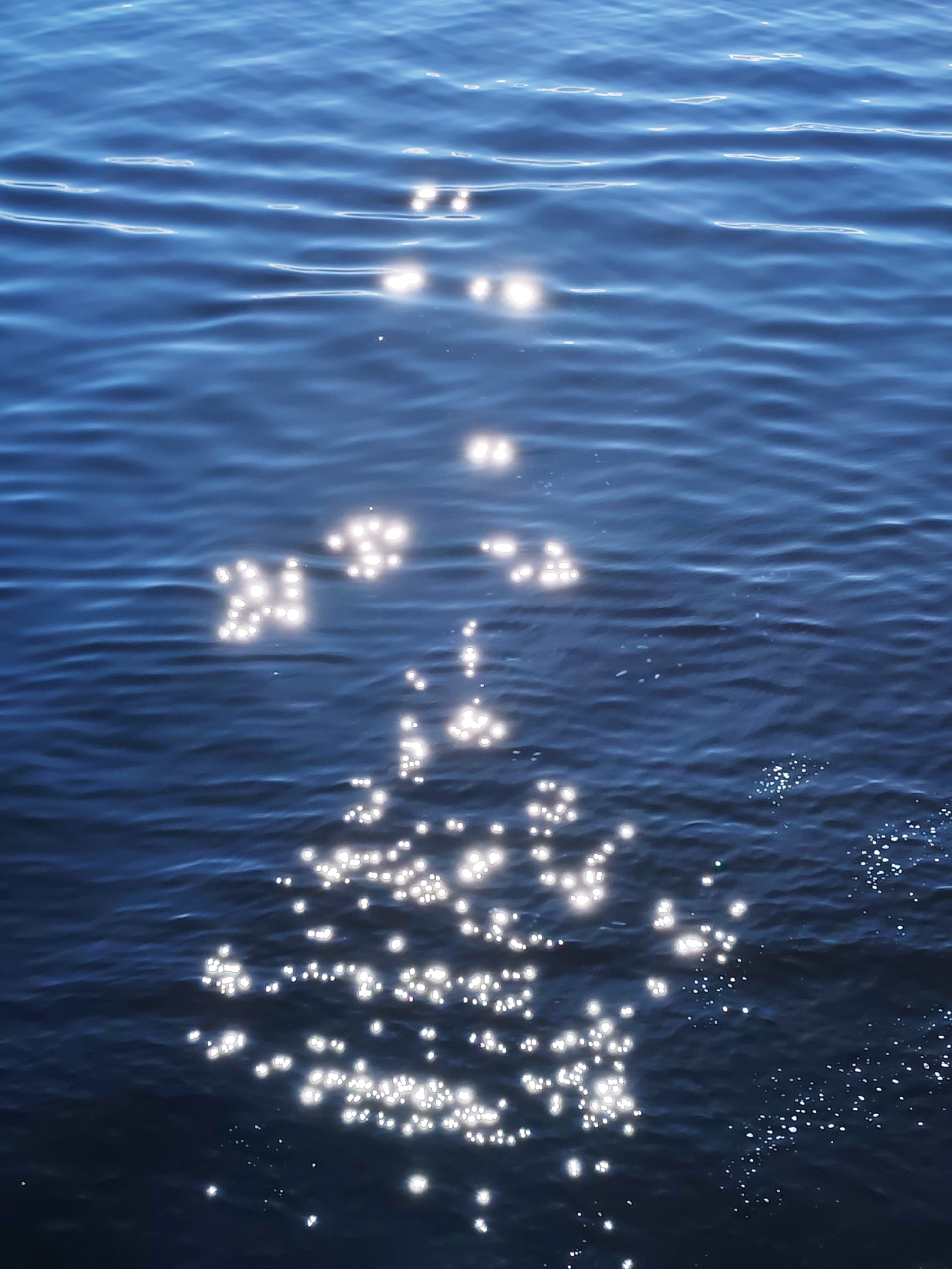 Peaceful water scene documented near Shchetinskoe, Russia