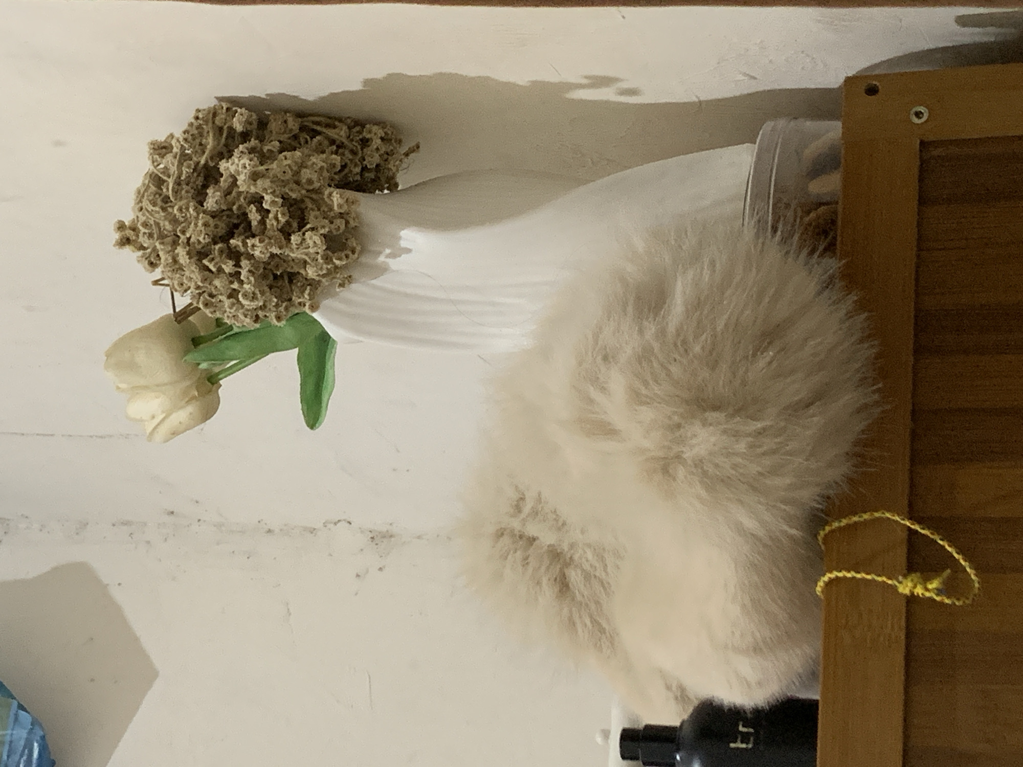 Domestic life moments documented in Indonesian household setting