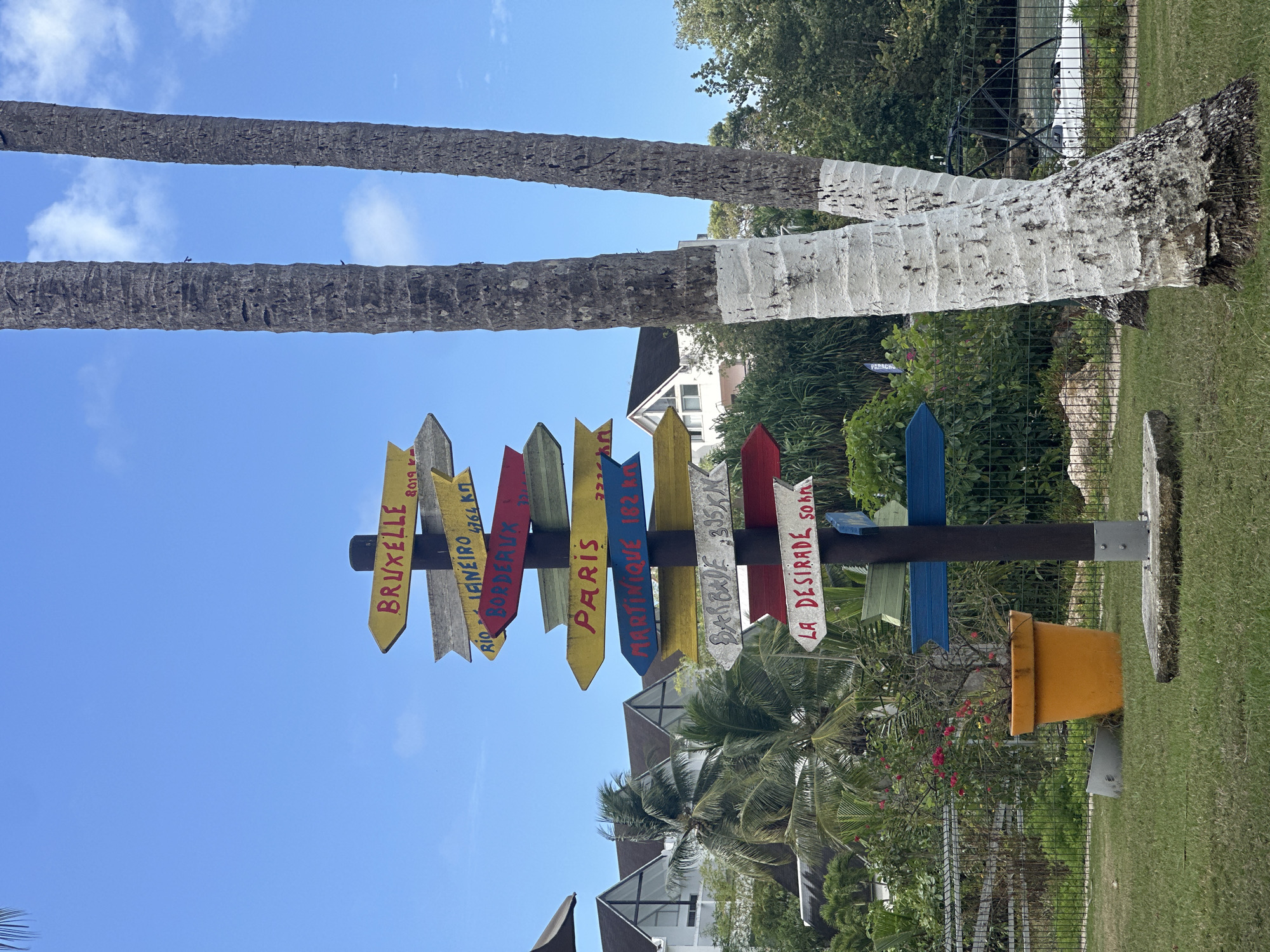 Tropical scenes and relaxing cat documented in Le Gosier
