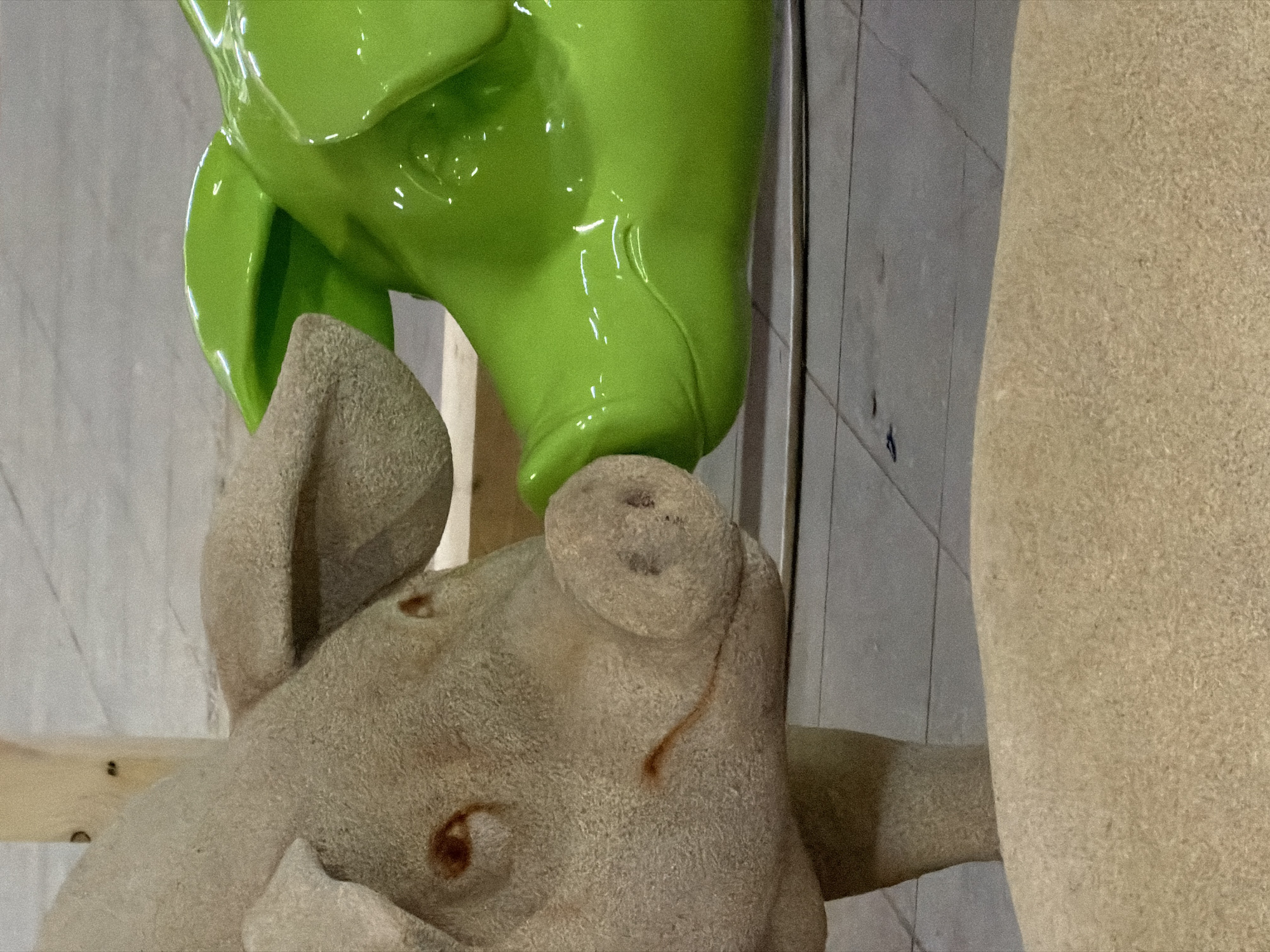 Pig sculptures displayed indoors in Leudelange, Luxembourg