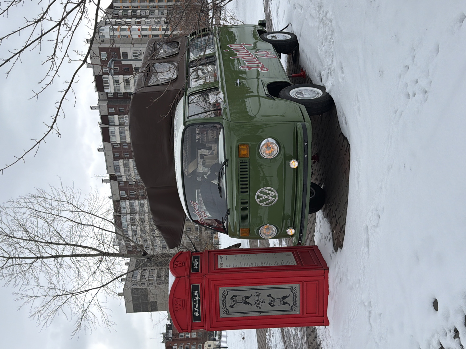Ordinary moments documented across snowy Krasnoyarsk: coffee van, duck, cat