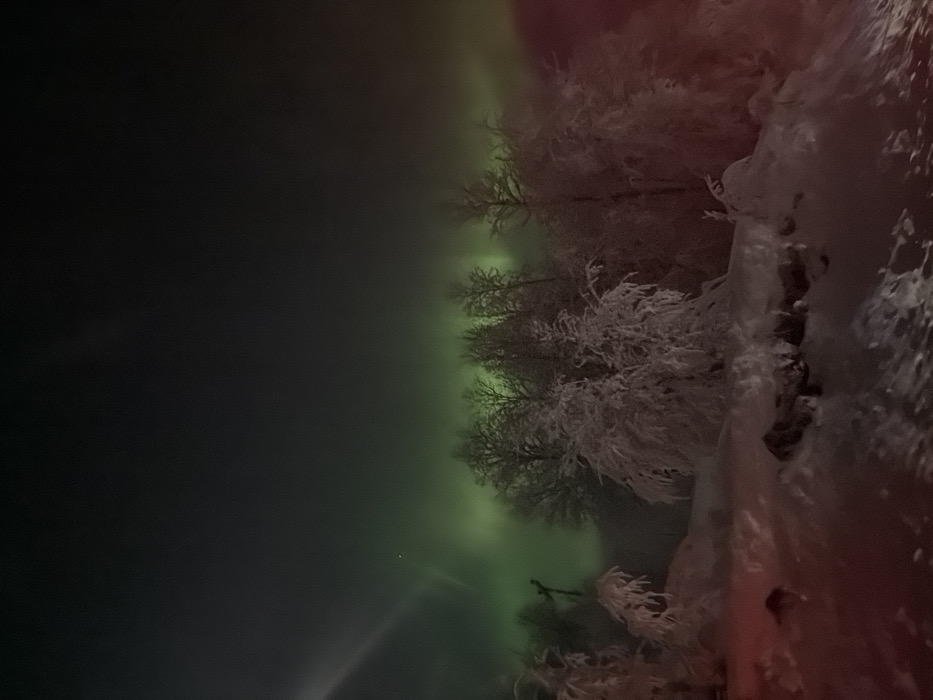 Northern lights illuminate frost-covered landscape in Brorstad, Norway