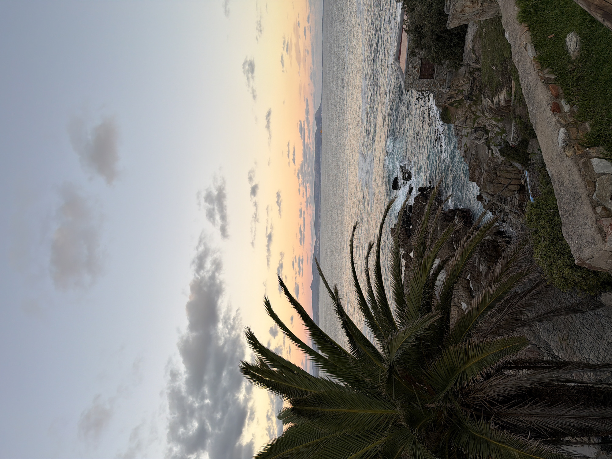 Golden hour coastal documentation captures Hermanus whale sculptures, wildlife