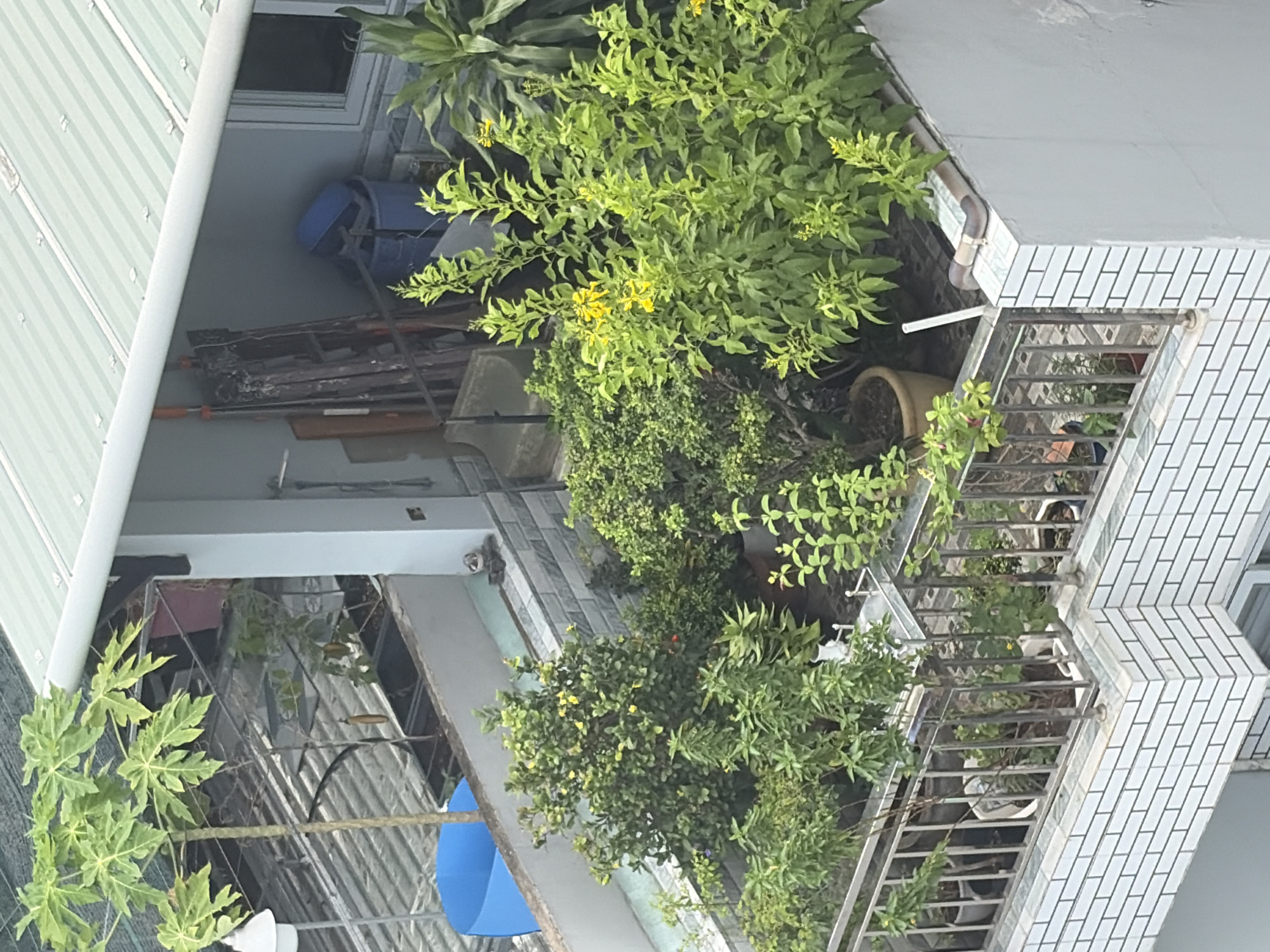Morning urban scenes captured from rooftops in Thủ Đức