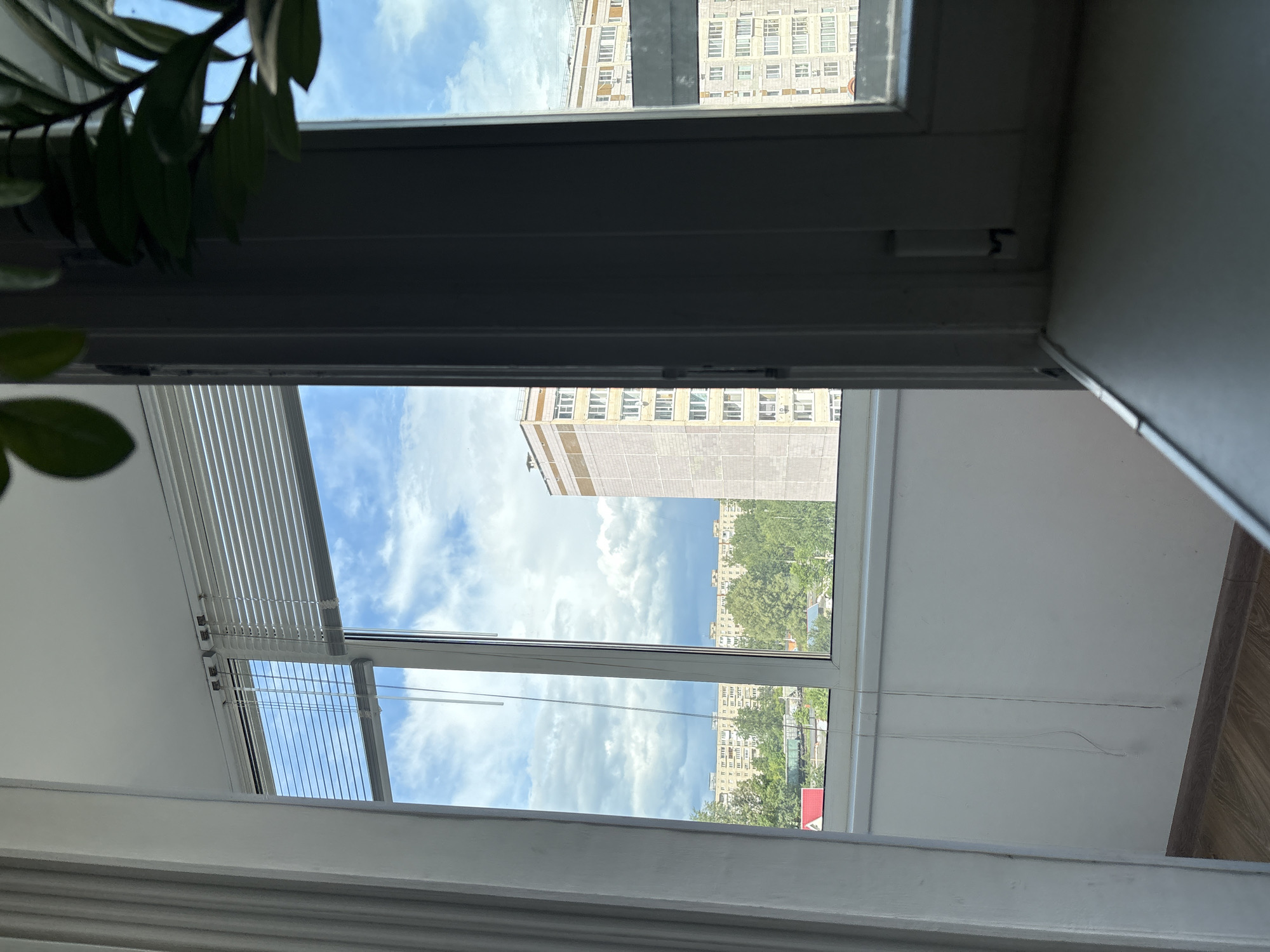 Ordinary afternoon moments captured from Chaikovsky apartment window