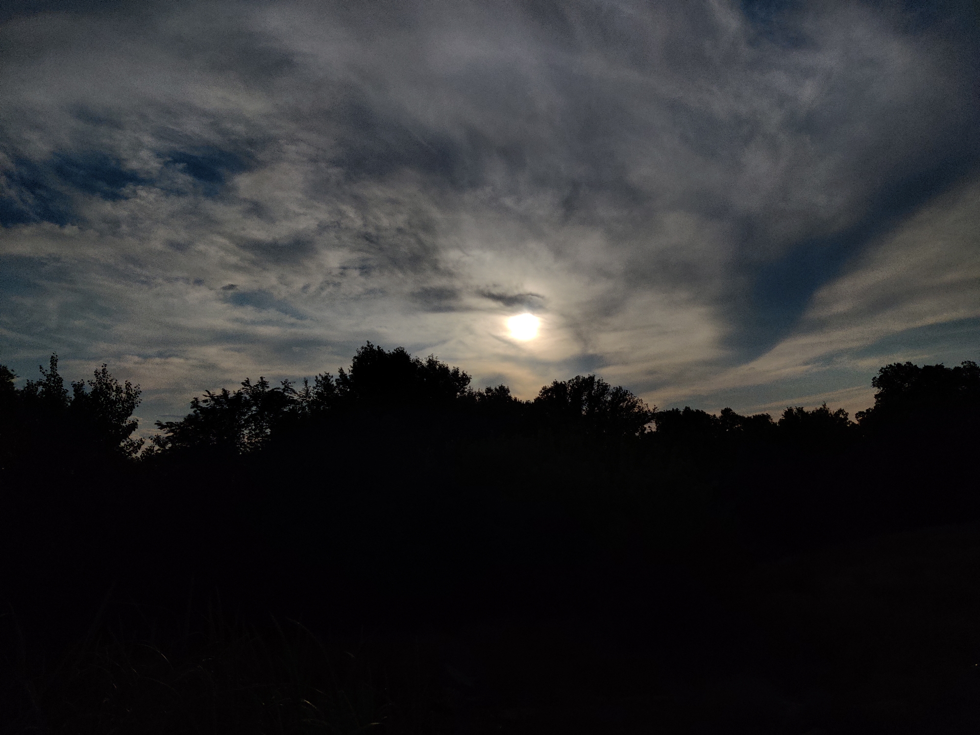 Dramatic skies over Semey treeline, with sandy and weathered details below