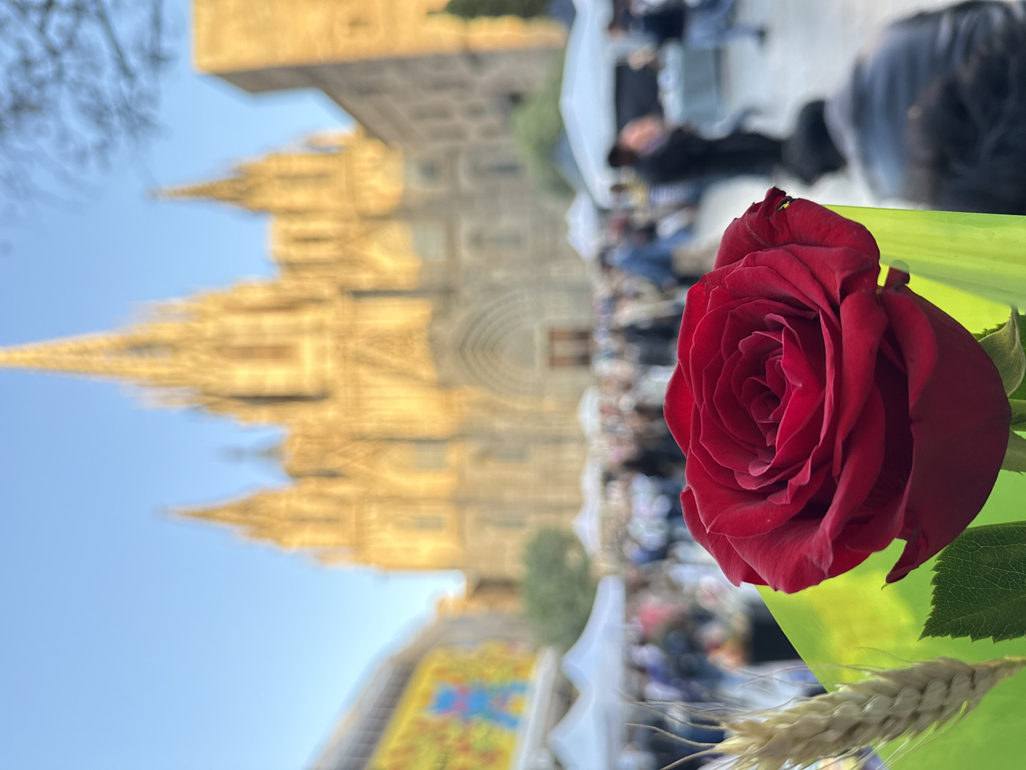 Barcelona celebrates Sant Jordi's Day with roses and street festivities