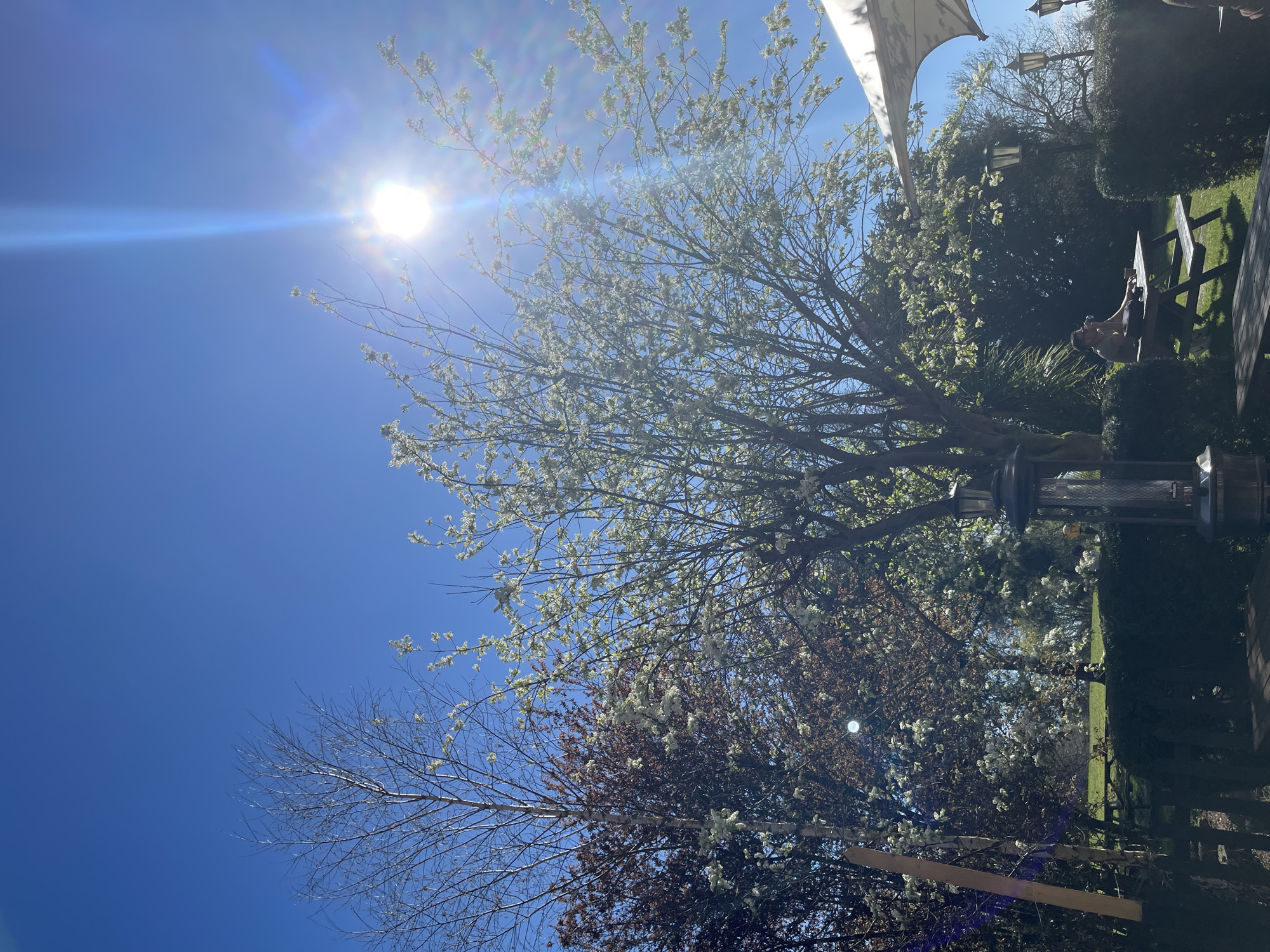 Spring outdoor dining observed in sunny Maidstone