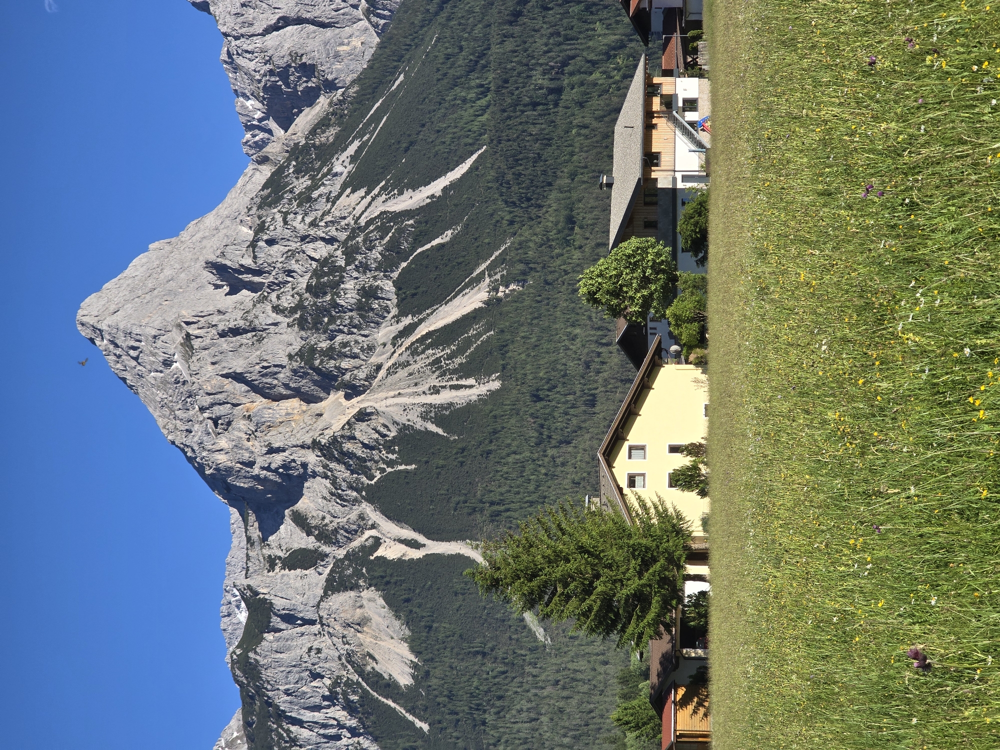 Alpine meadows and mountain views in Lermoos, Austria