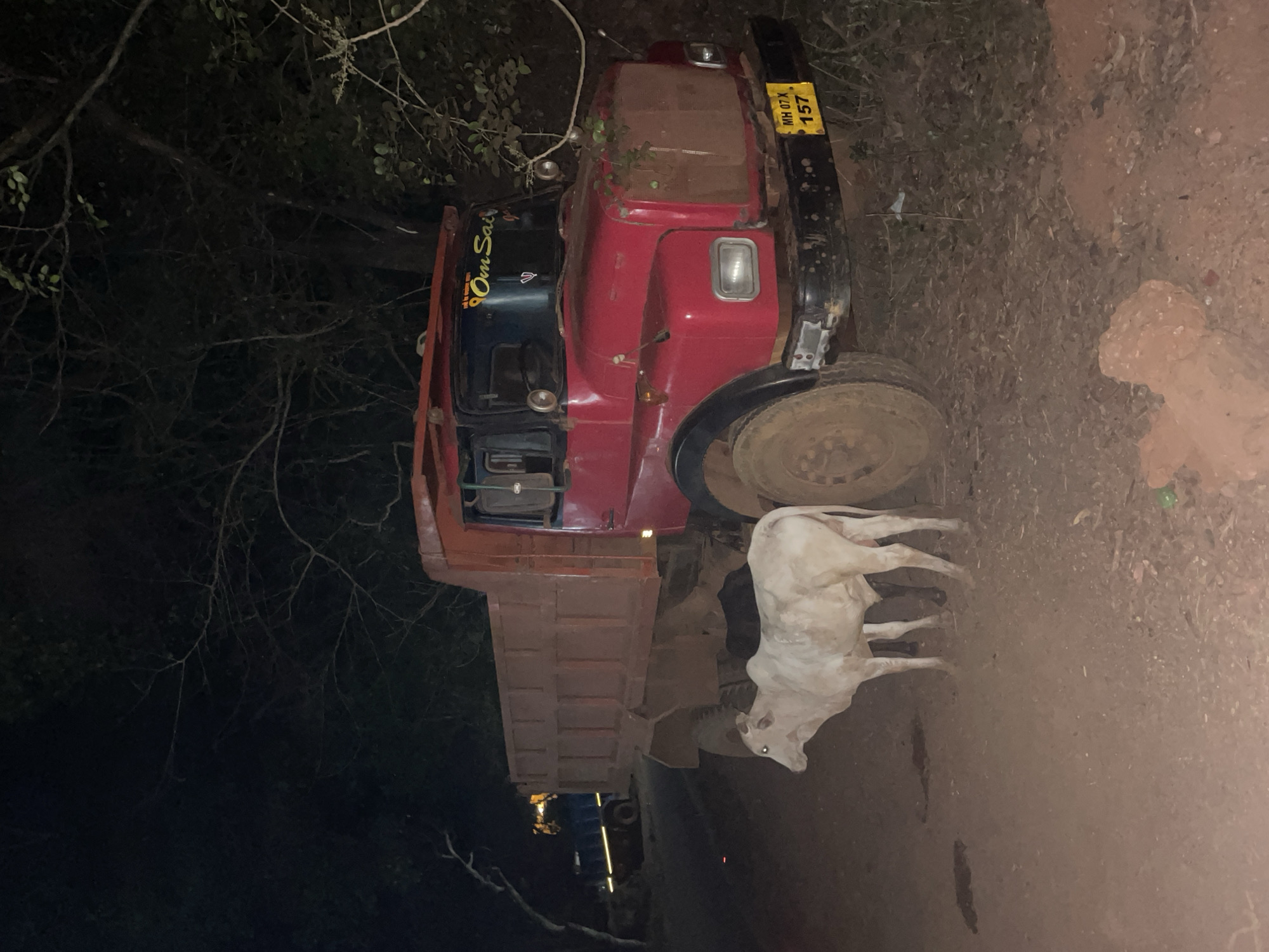 Red truck off dirt road with cow nearby in Bhagatwadi