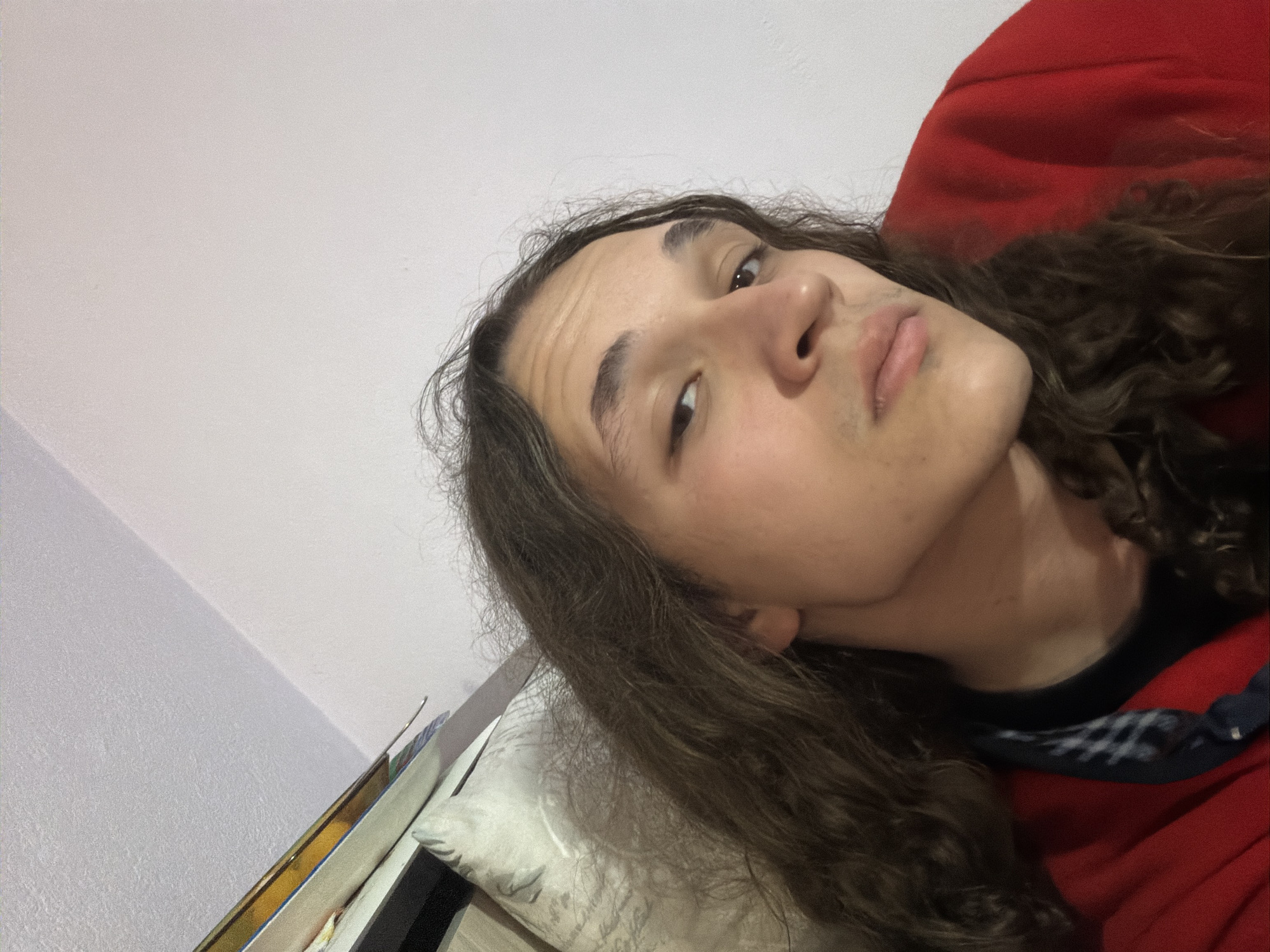 Person photographed with cartoon pillow in Asenovgrad home