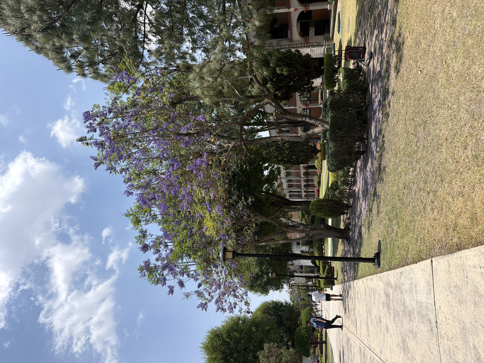 Daily life scenes captured across San Andrés Cholula