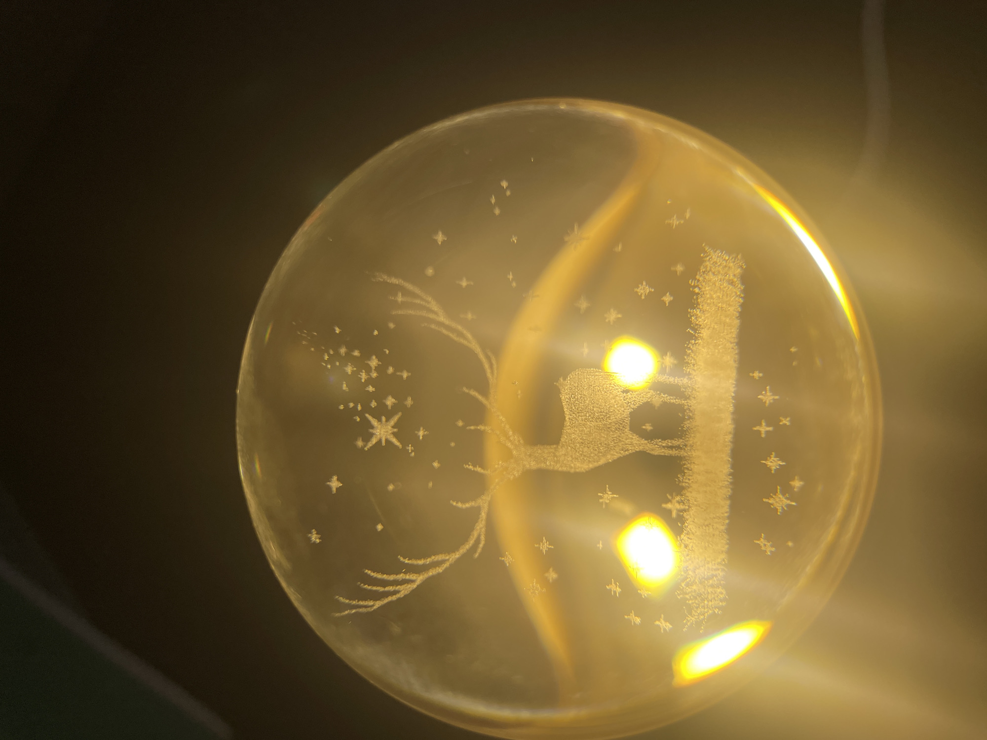 Pets, toys, and glass orbs in a Moscow home