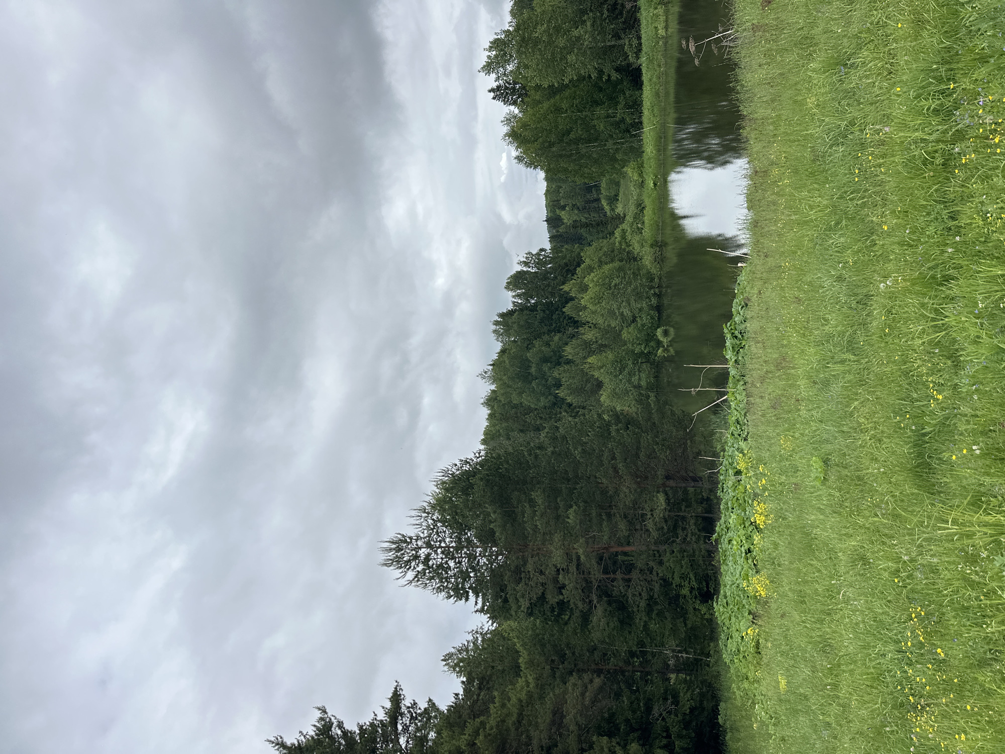 Woman with container crosses field in rural Russia