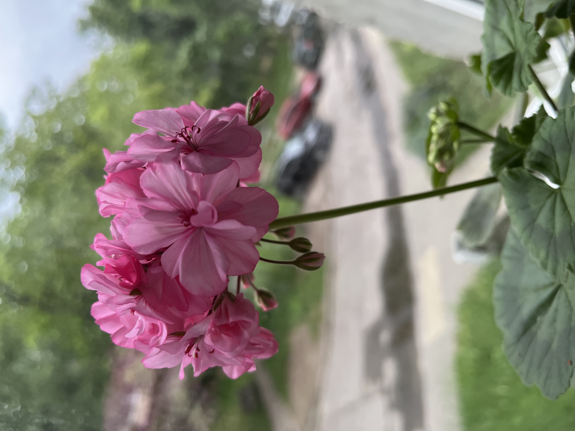 Domestic life documented over two hours in Minsk apartment