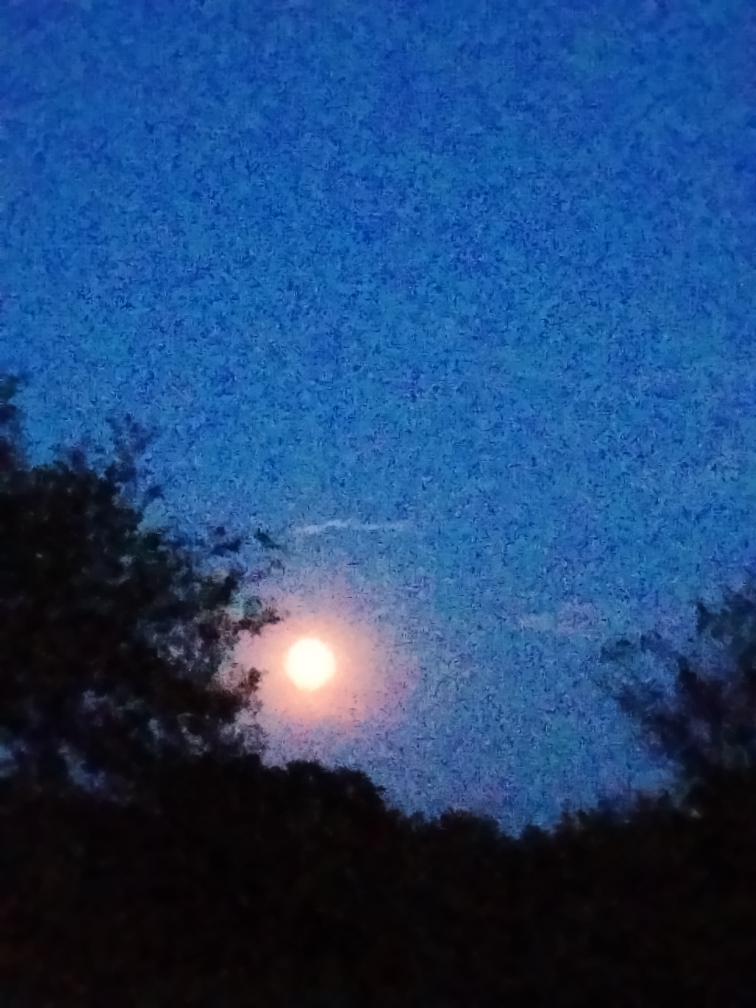 Full moon rising through clouds over Ustyvytsia on a July evening