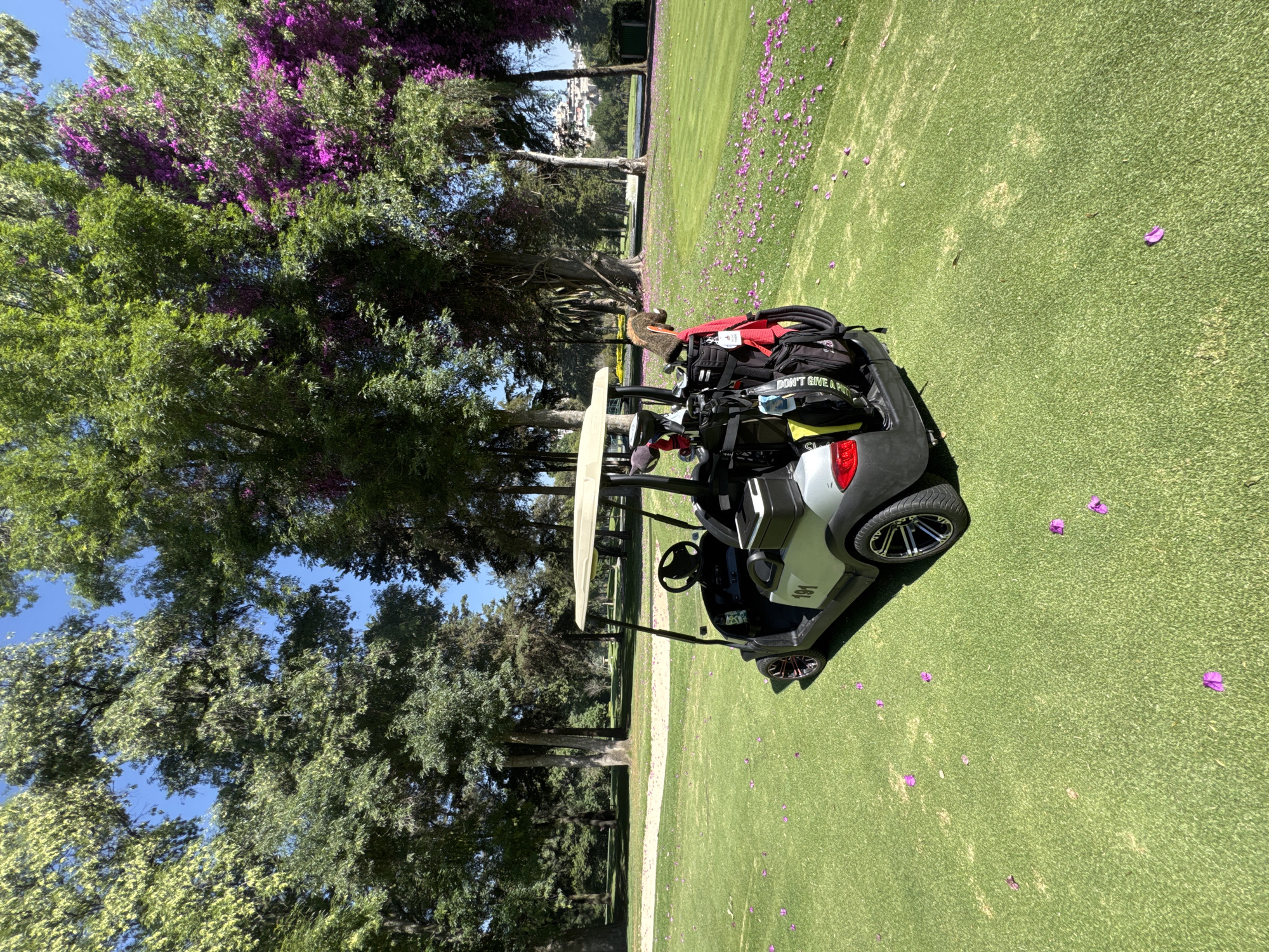 Golf cart spotted on Tlalnepantla course with humorous sticker