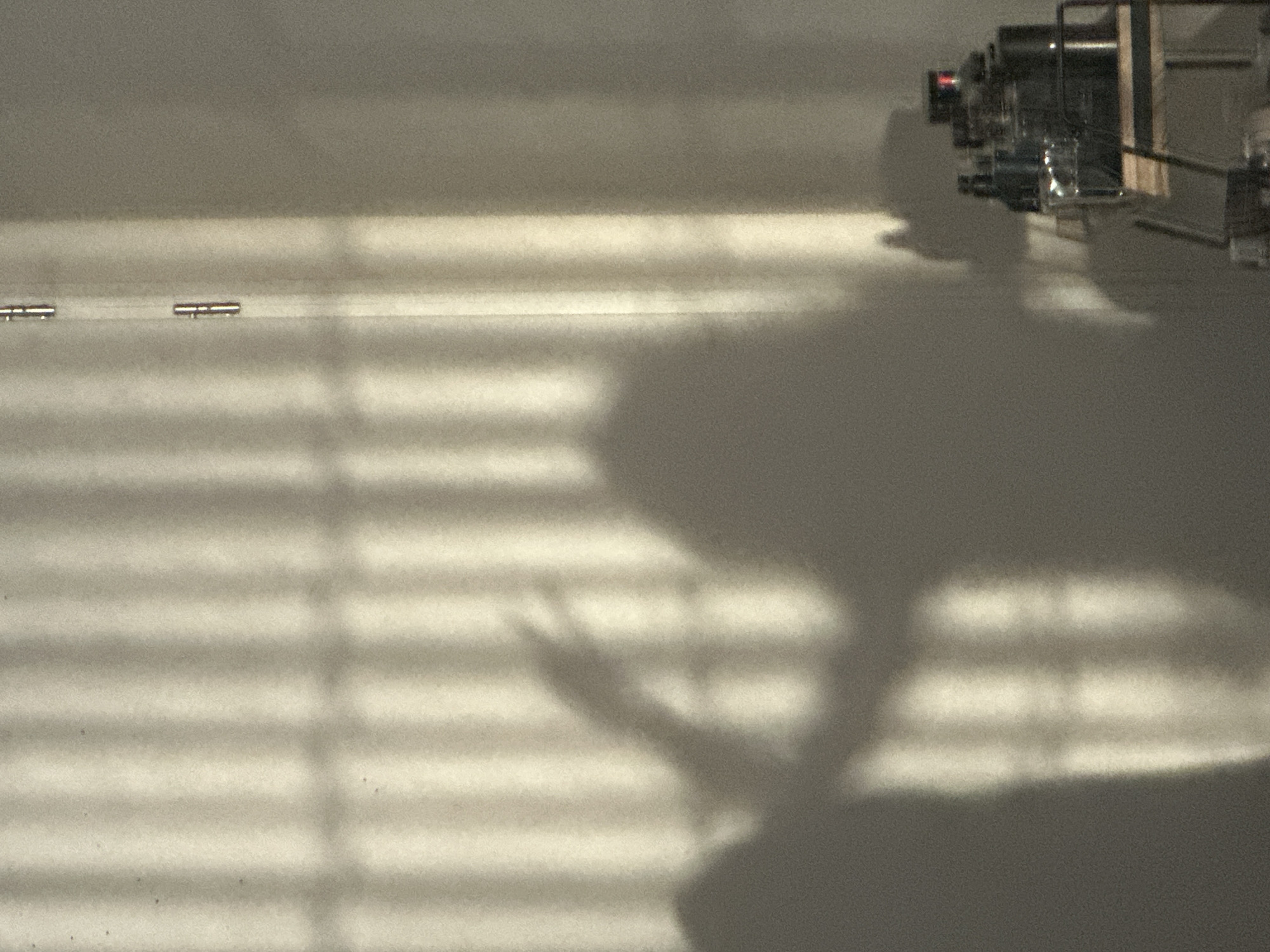 Shadow play and modern architecture in Amsterdam on a sunny evening