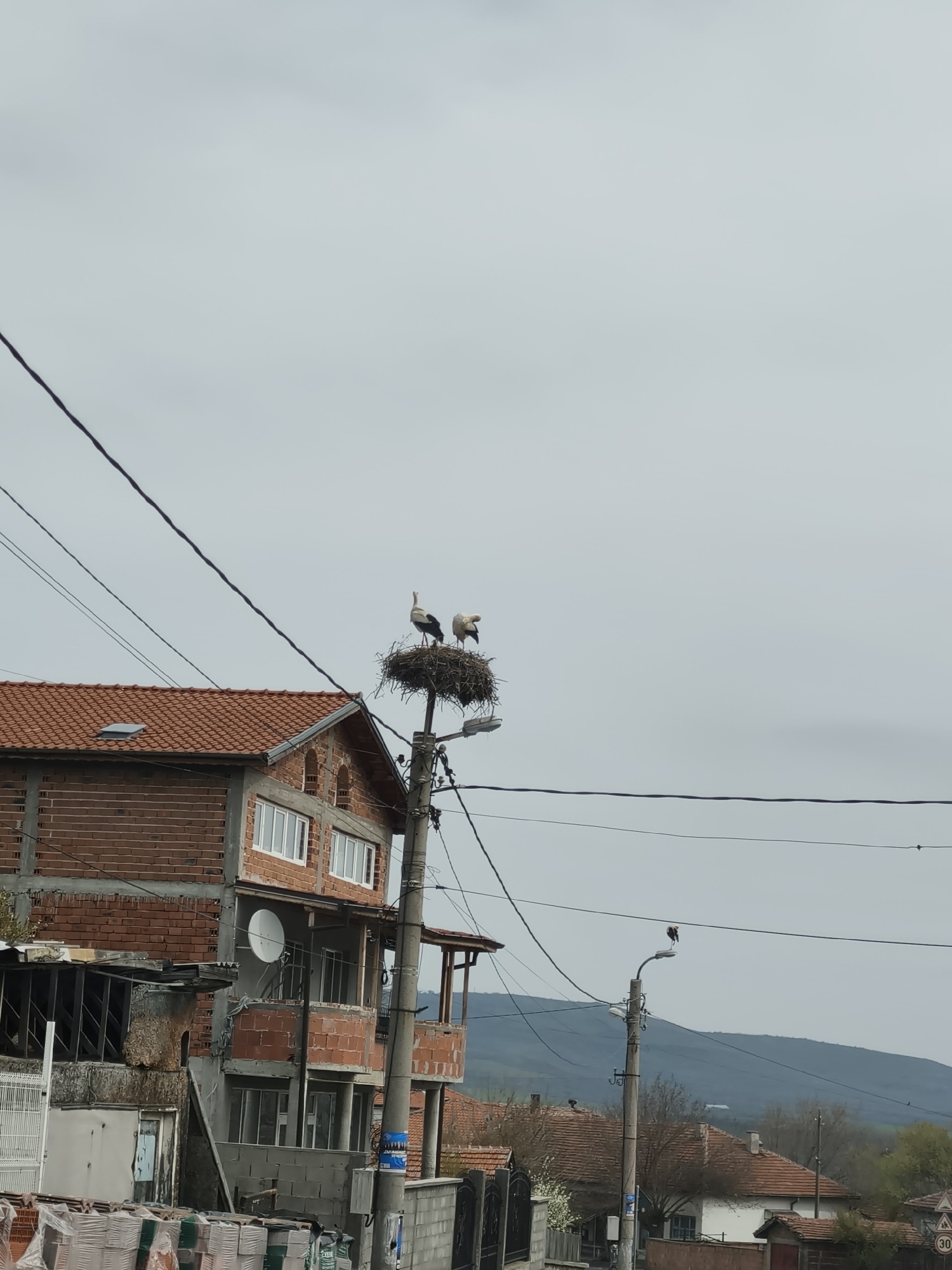 Morning journey through rural villages and countryside documented